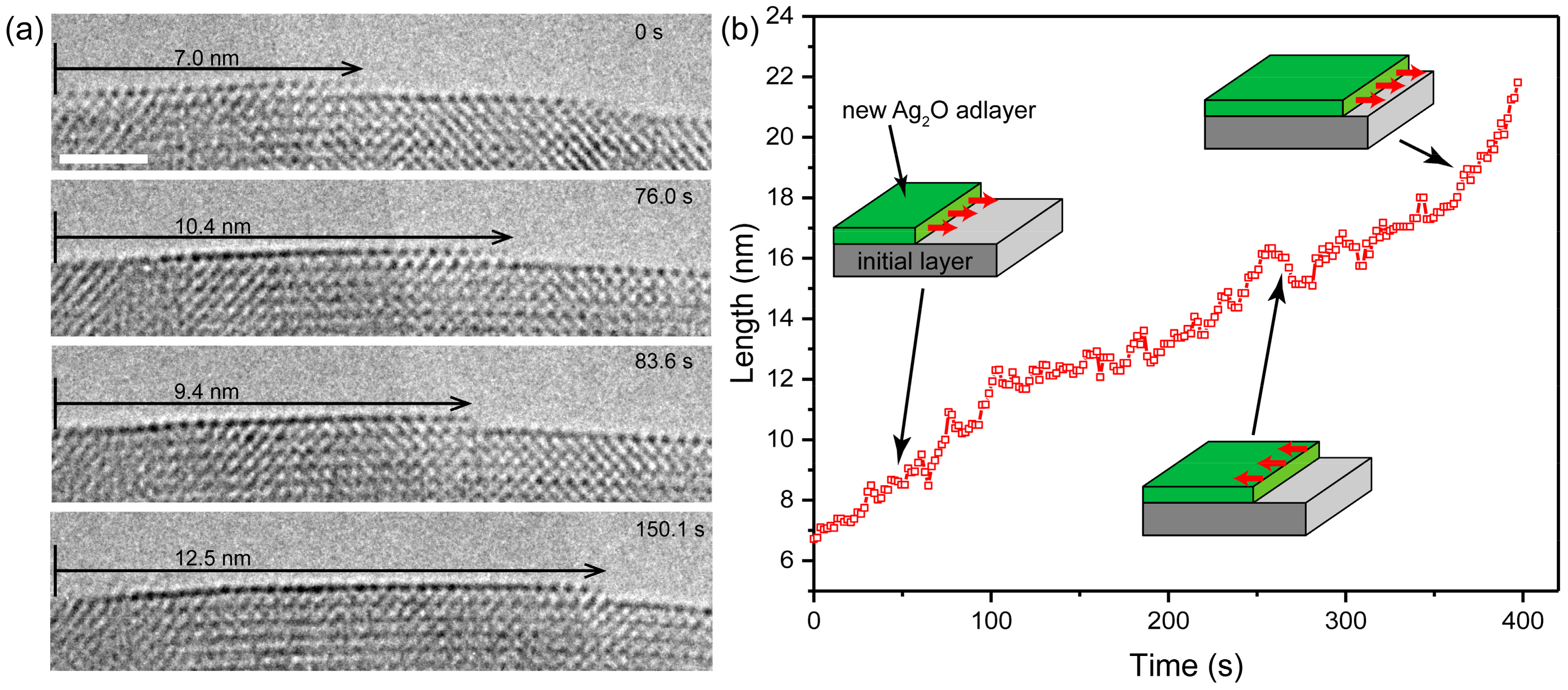 Nanomaterials 11 01021 g004