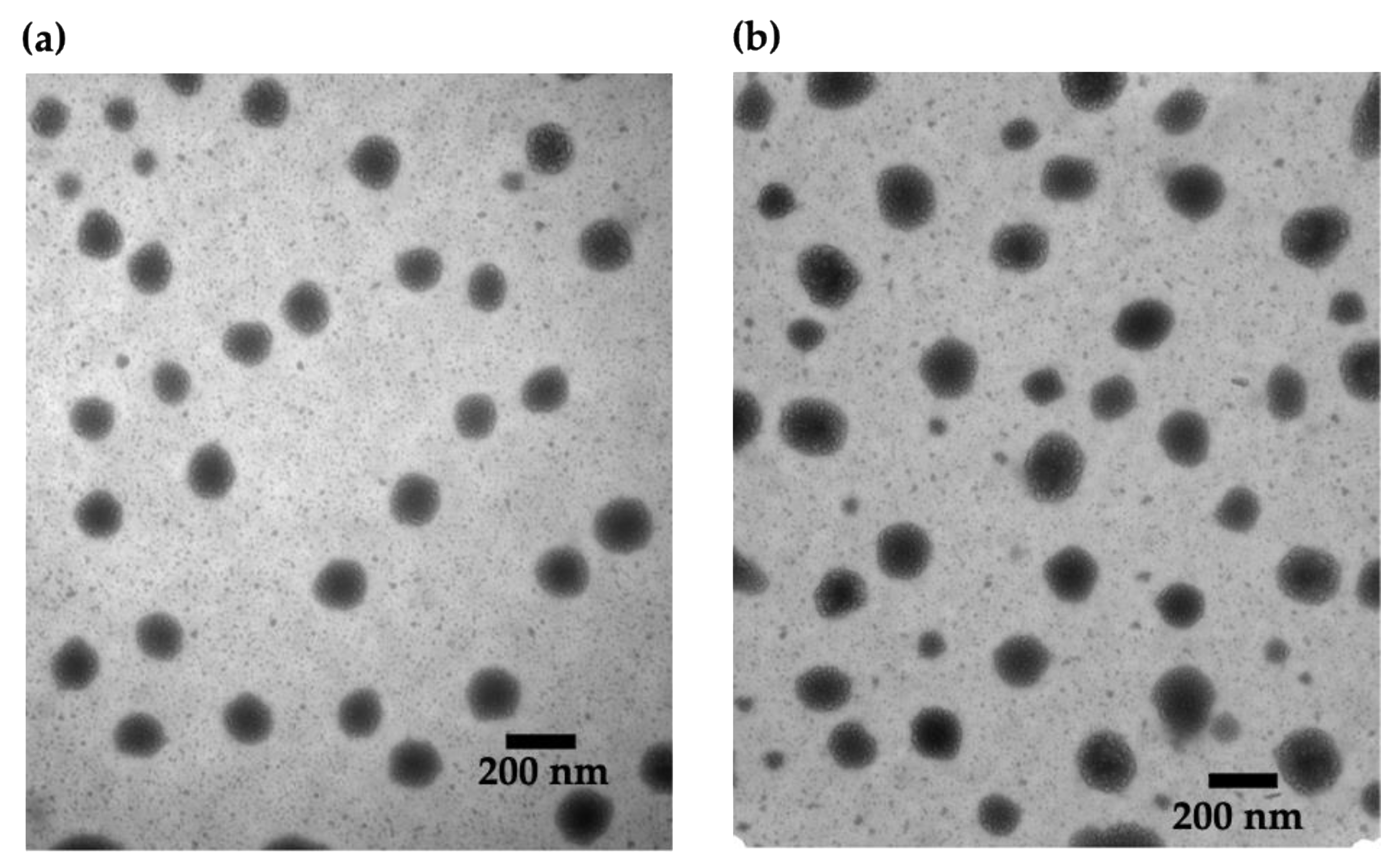 Nanomaterials 11 01028 g002 Nanomaterials 11 01028 g002