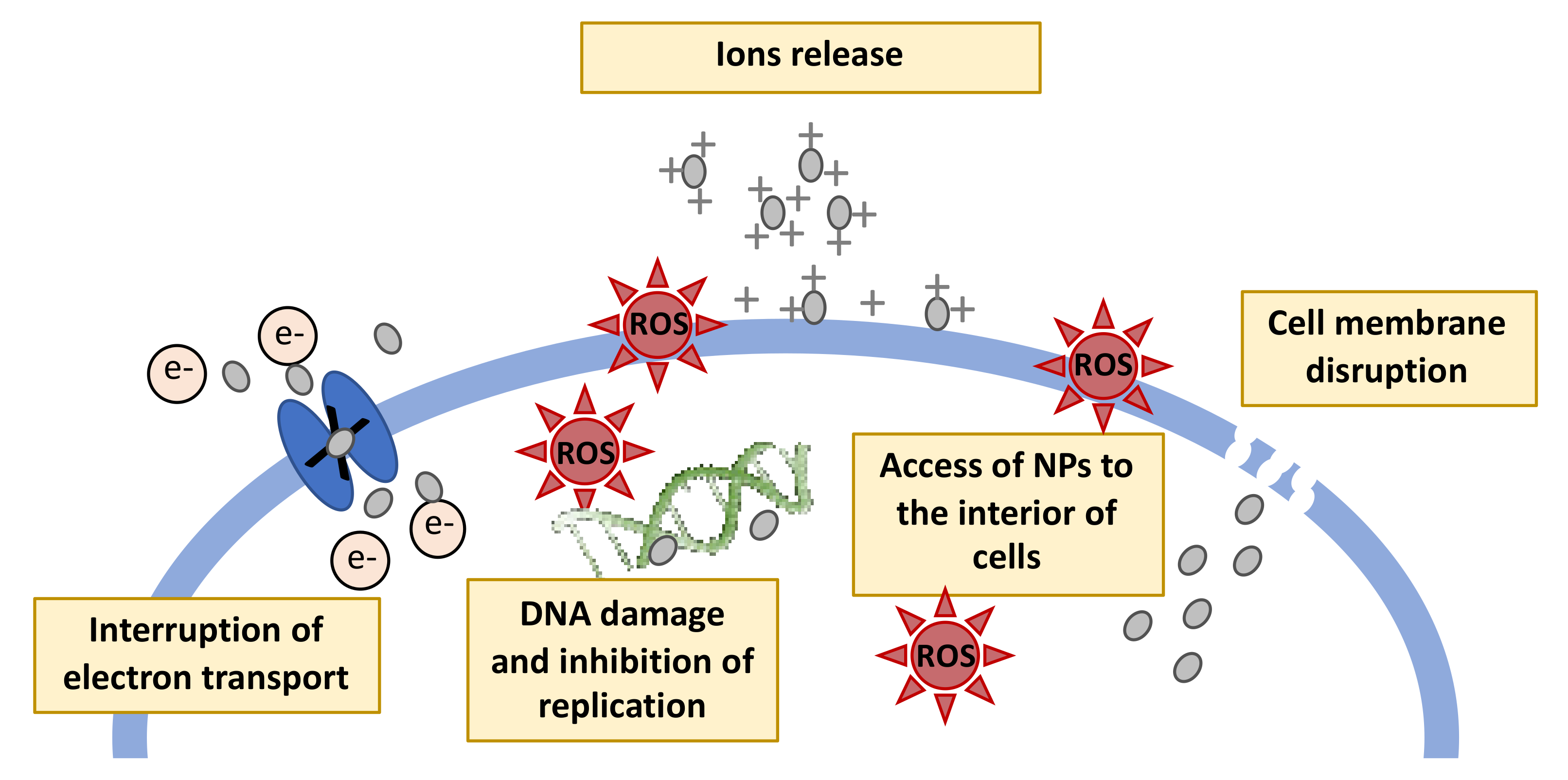 Nanomaterials 11 01067 g004 Nanomaterials 11 01067 g004