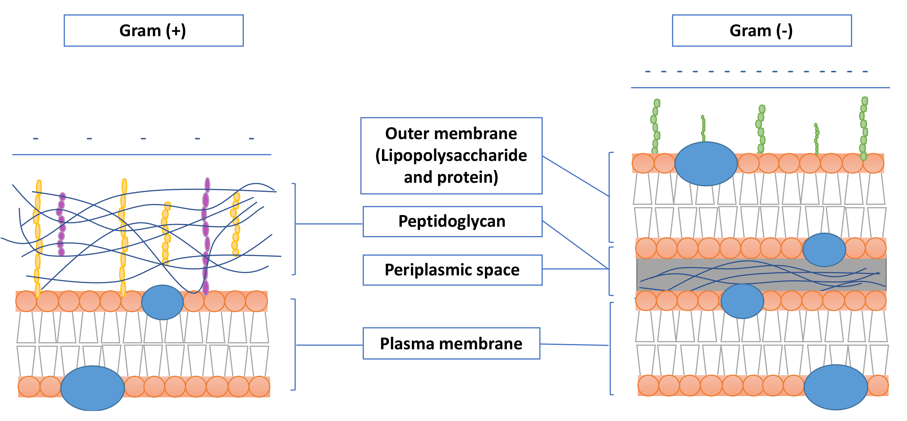 Nanomaterials 11 01067 g005 Nanomaterials 11 01067 g005