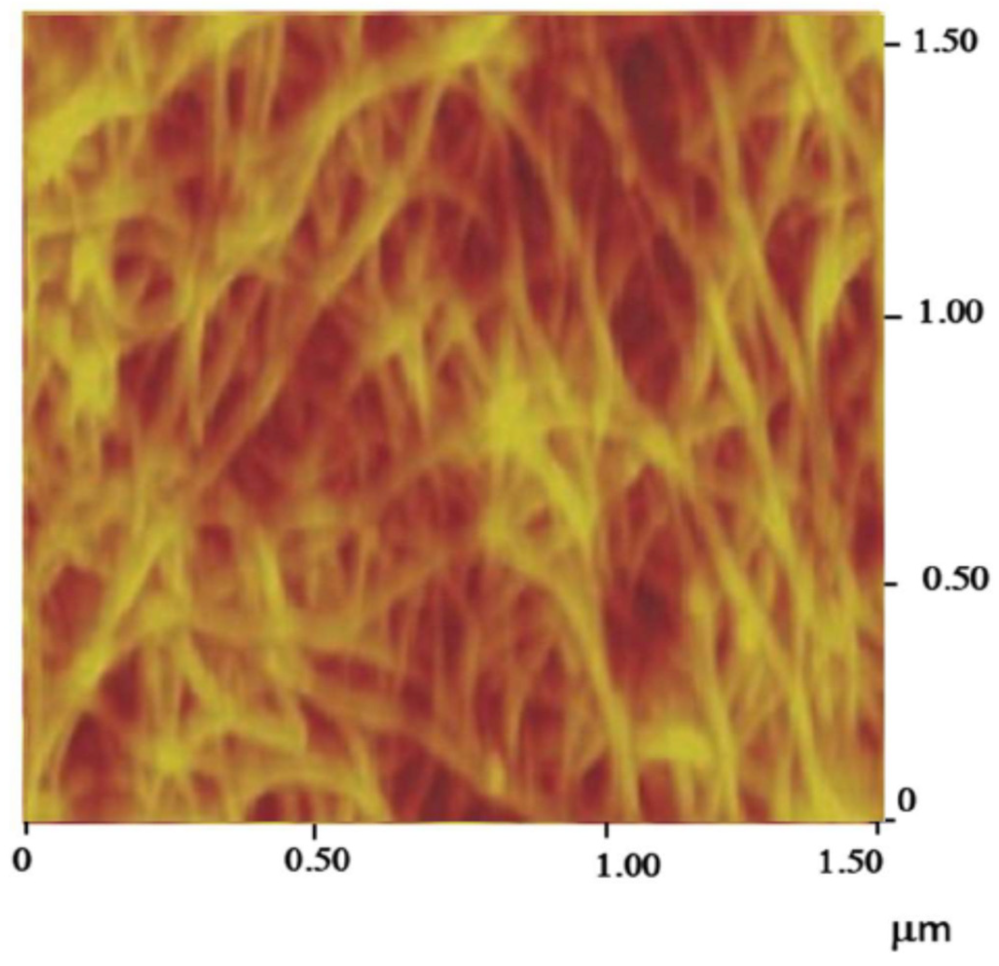 Nanomaterials 11 01079 g003 Nanomaterials 11 01079 g003