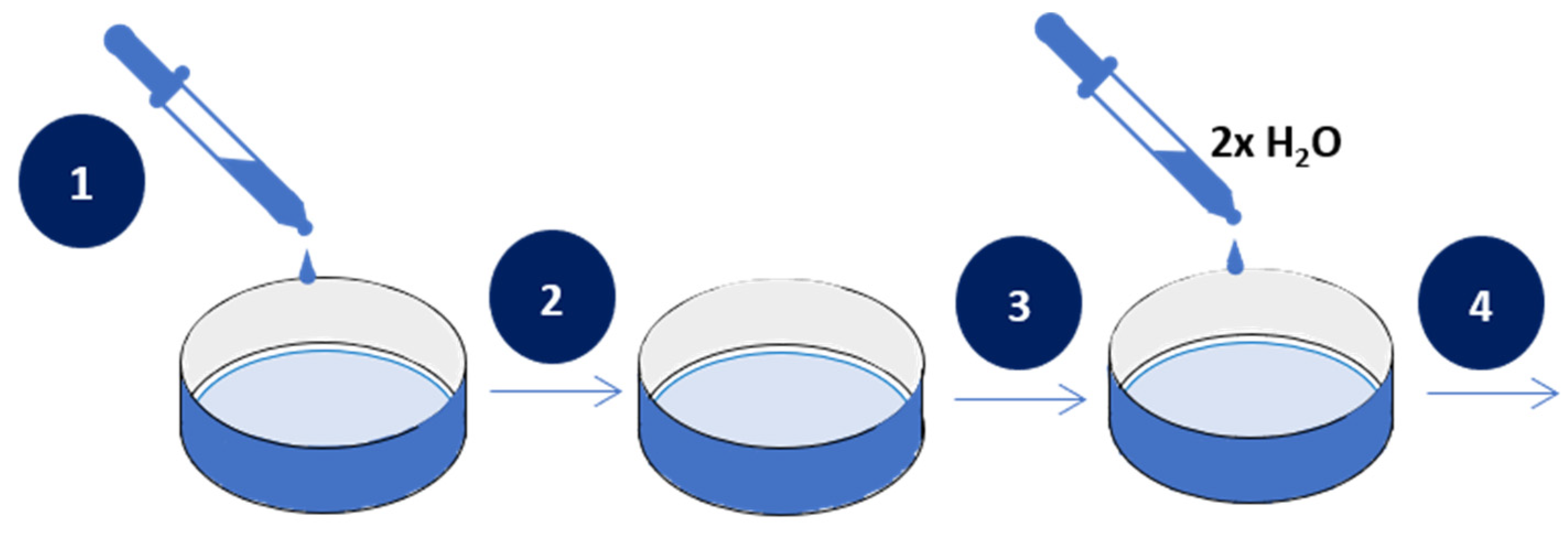 Nanomaterials 11 01094 g001