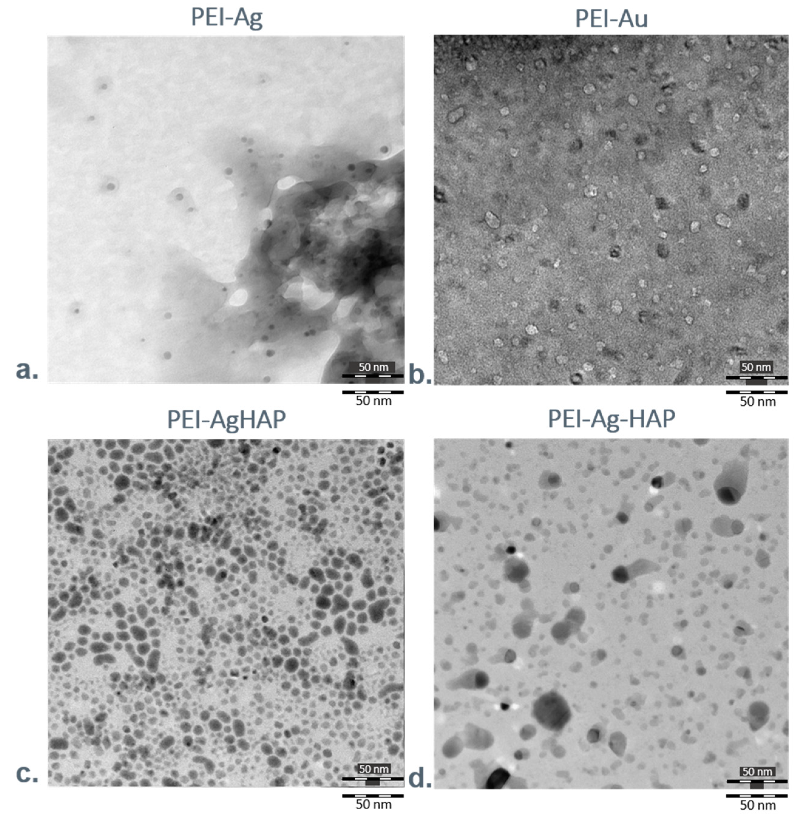 Nanomaterials 11 01094 g006