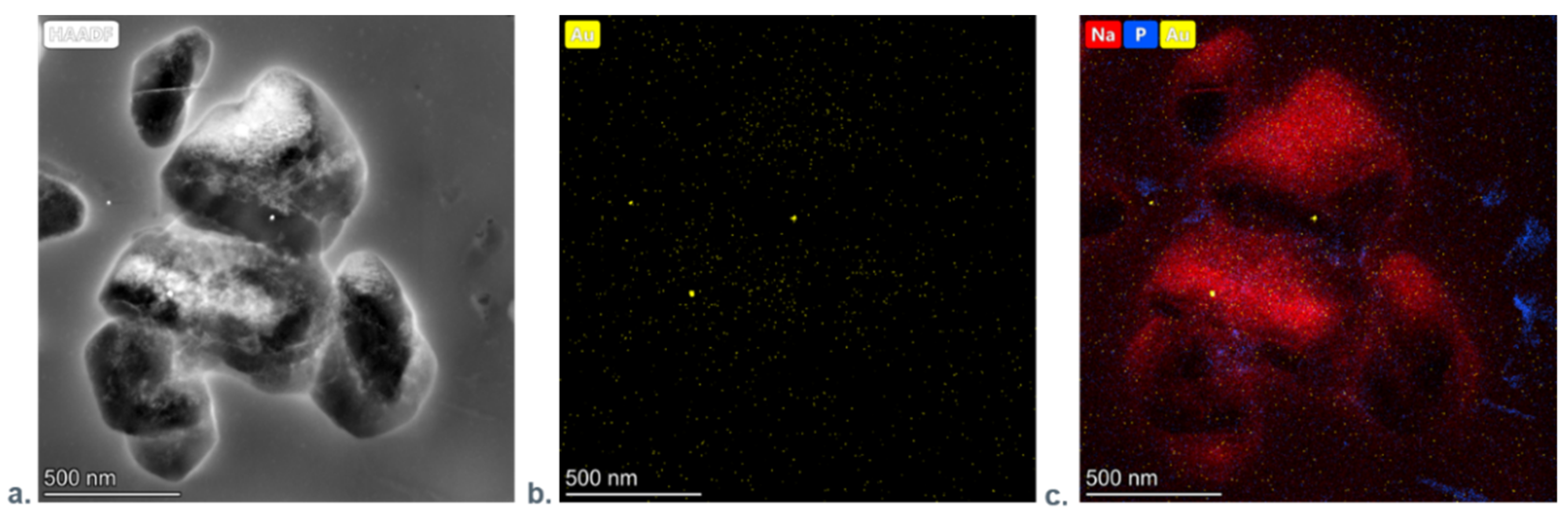 Nanomaterials 11 01094 g007