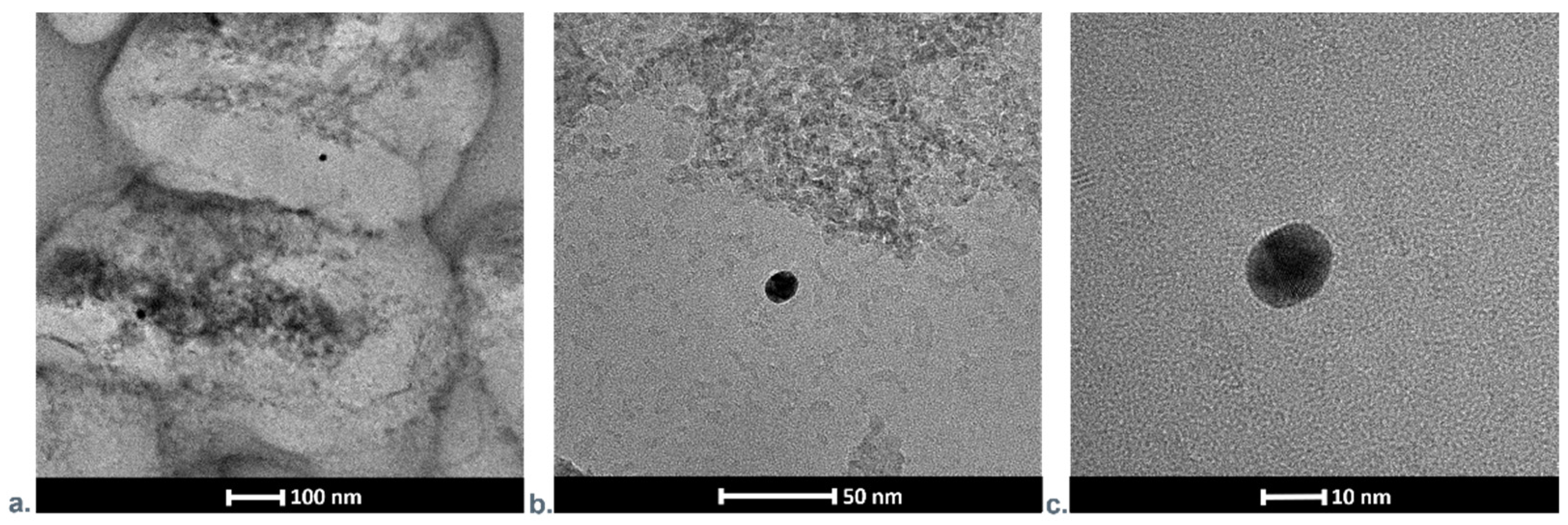 Nanomaterials 11 01094 g008