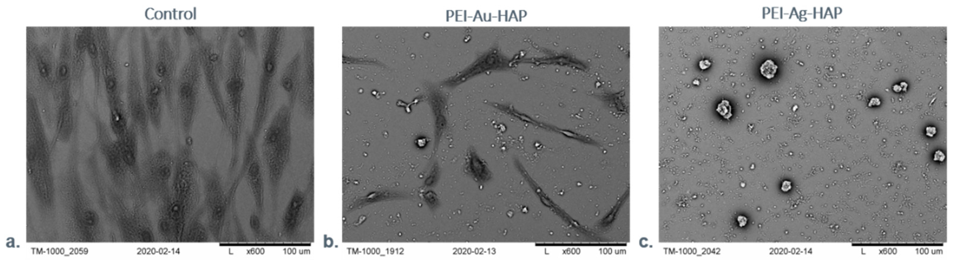 Nanomaterials 11 01094 g012