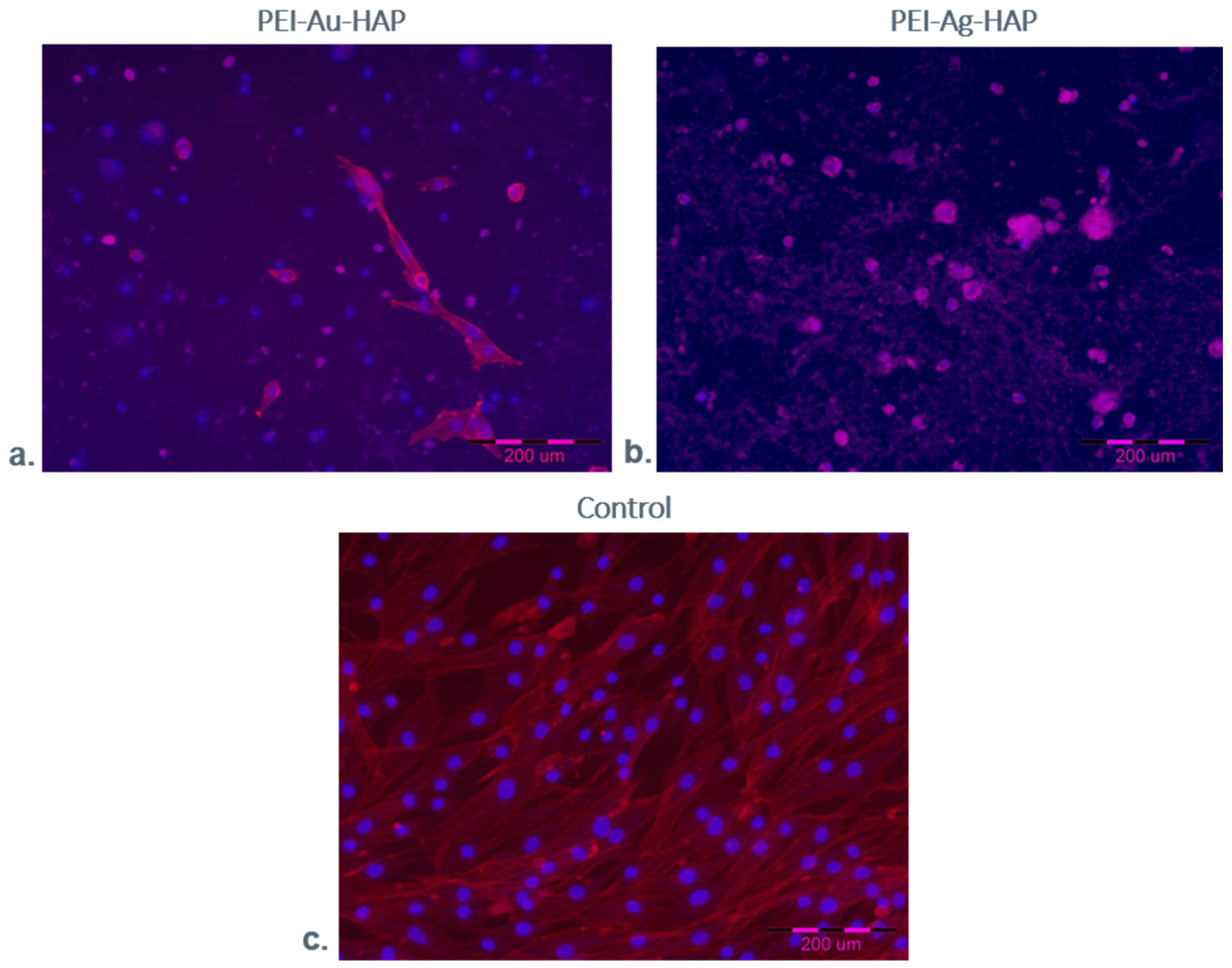 Nanomaterials 11 01094 g013