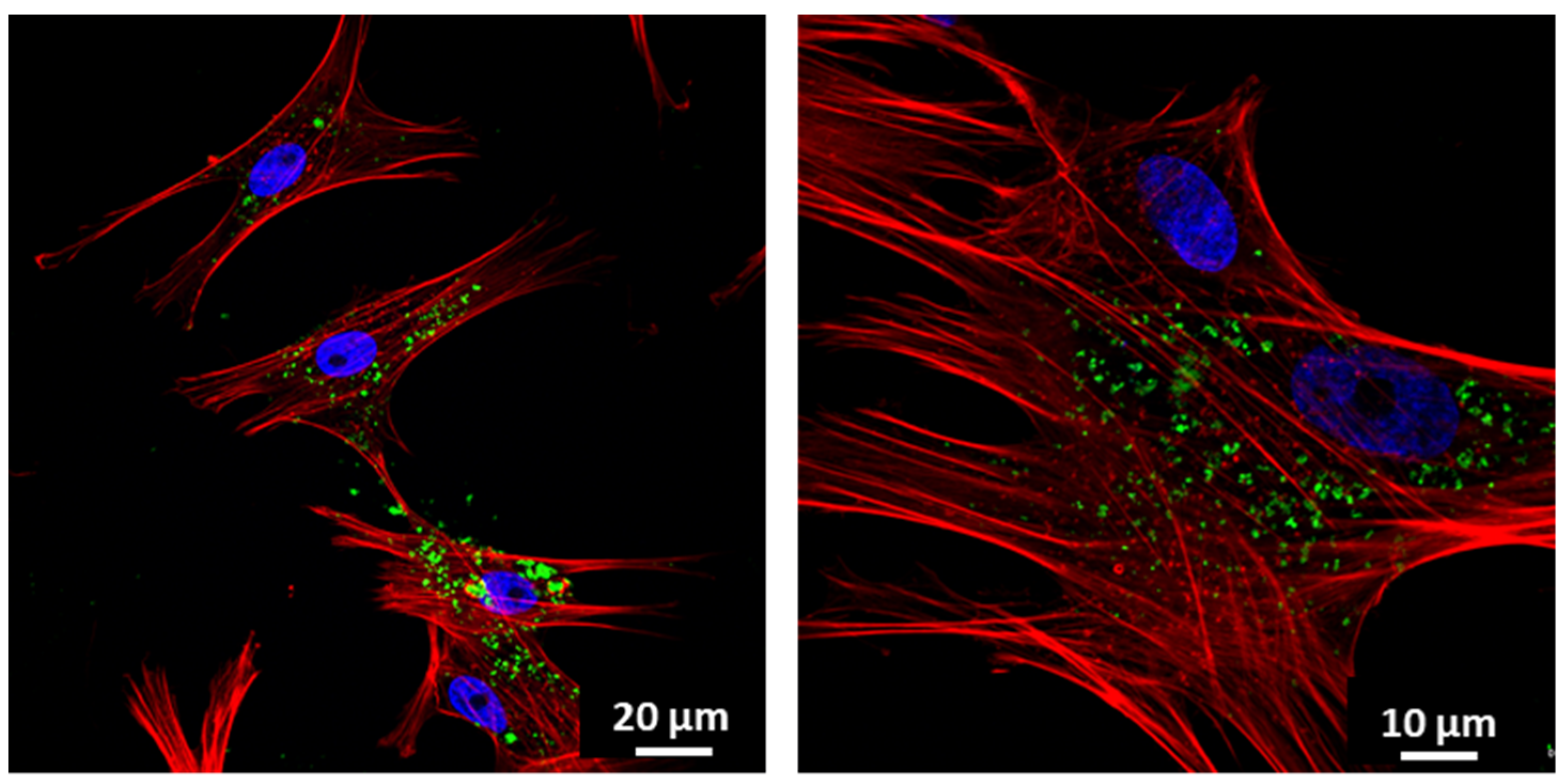 Nanomaterials 11 01102 g004 Nanomaterials 11 01102 g004