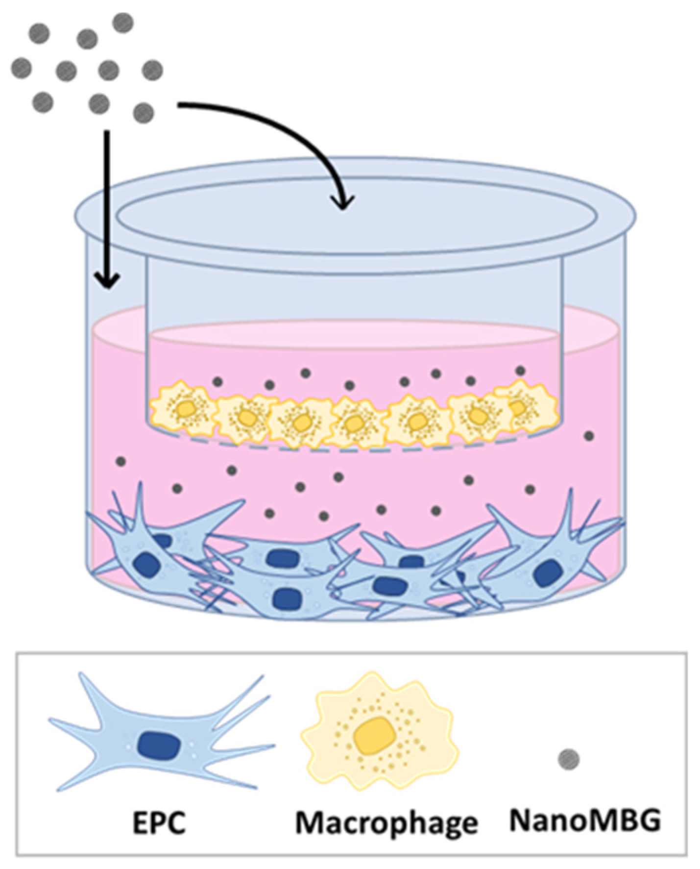 Nanomaterials 11 01102 sch001 Nanomaterials 11 01102 sch001