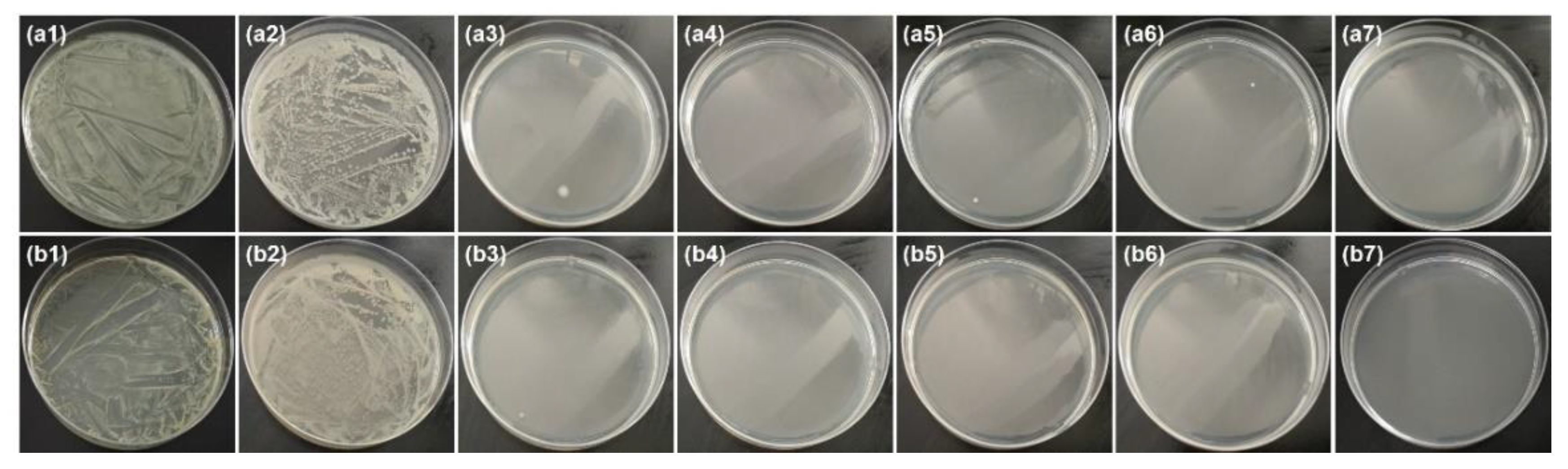Nanomaterials 11 01111 g007 Nanomaterials 11 01111 g007