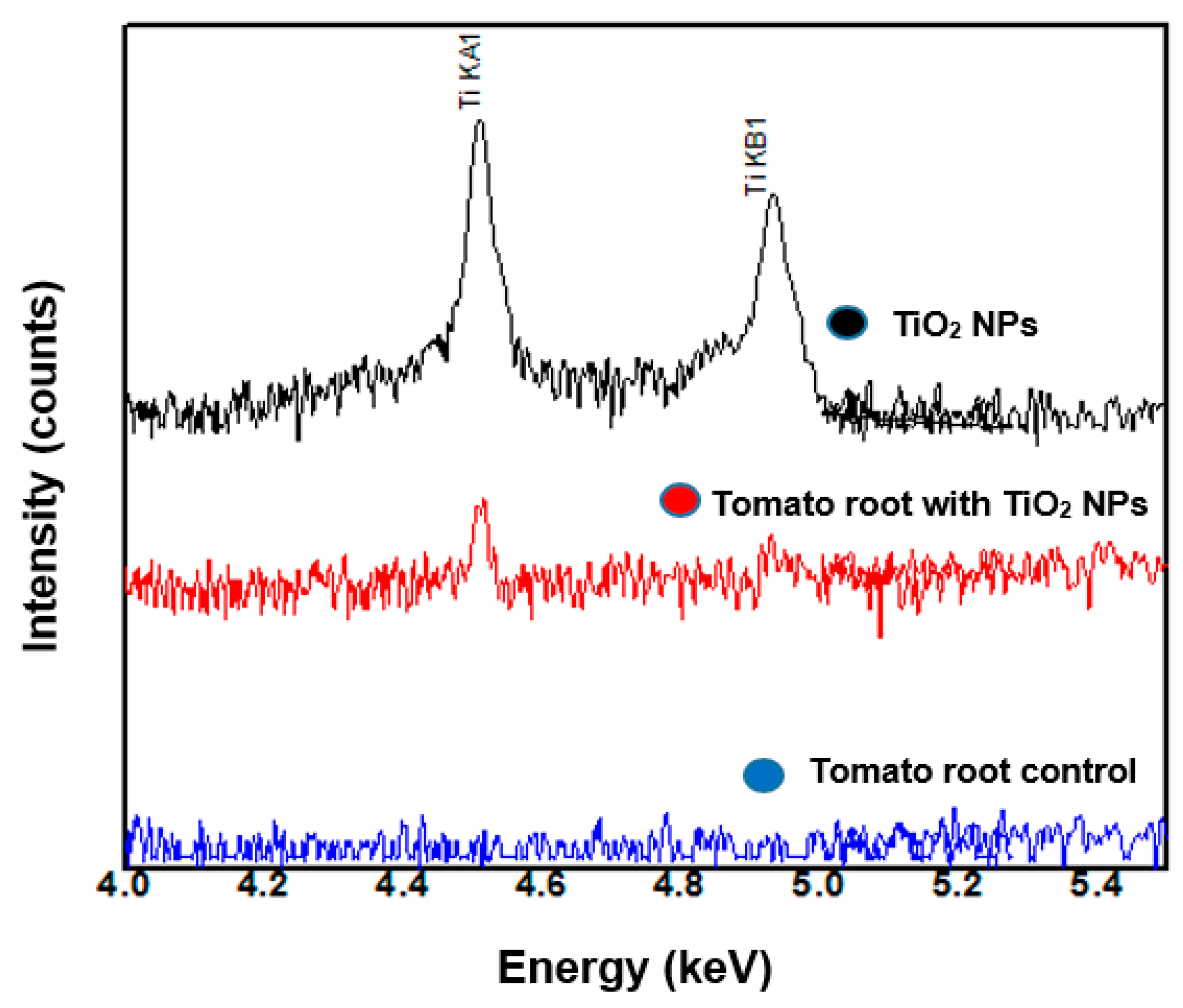 Nanomaterials 11 01127 g004