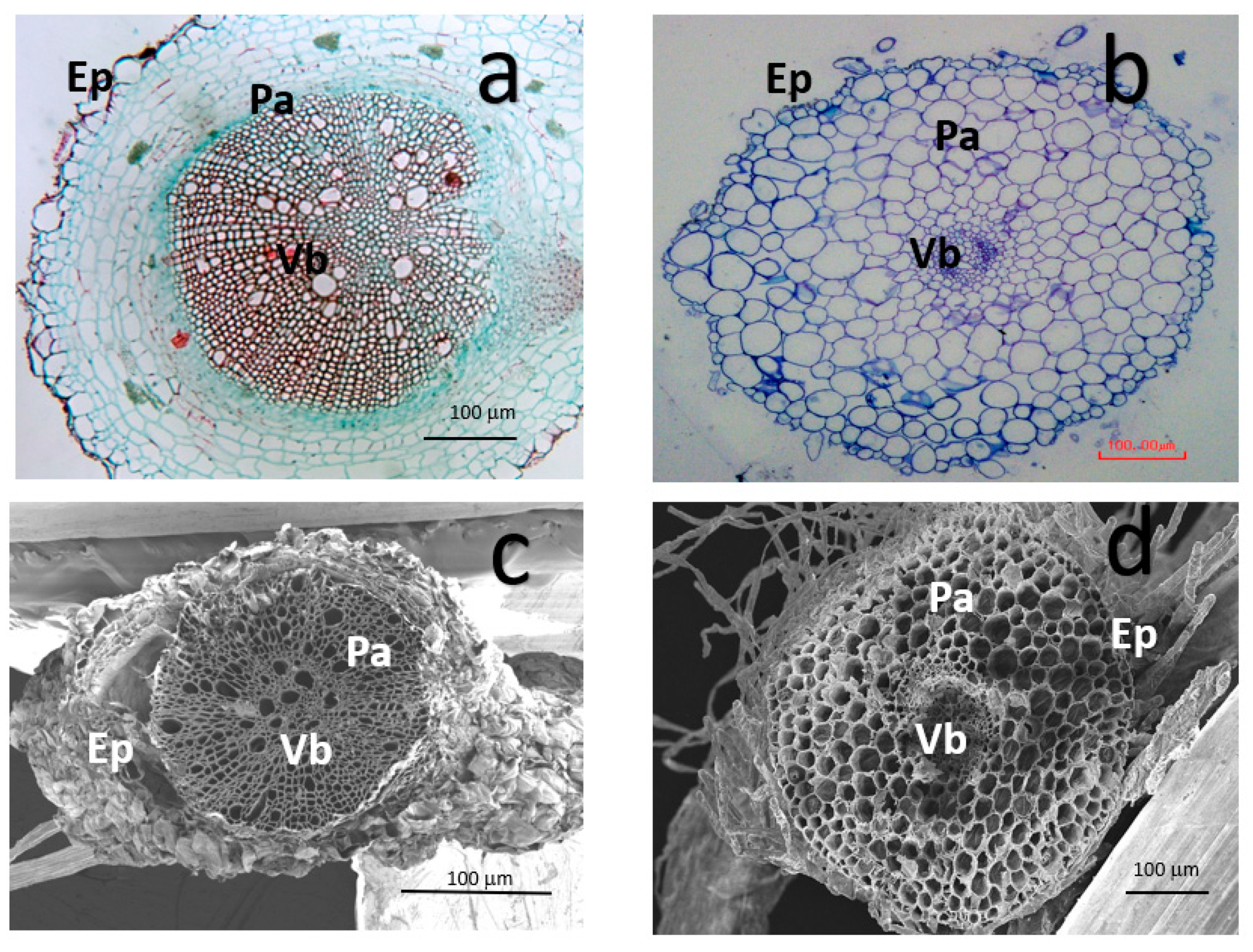 Nanomaterials 11 01127 g006