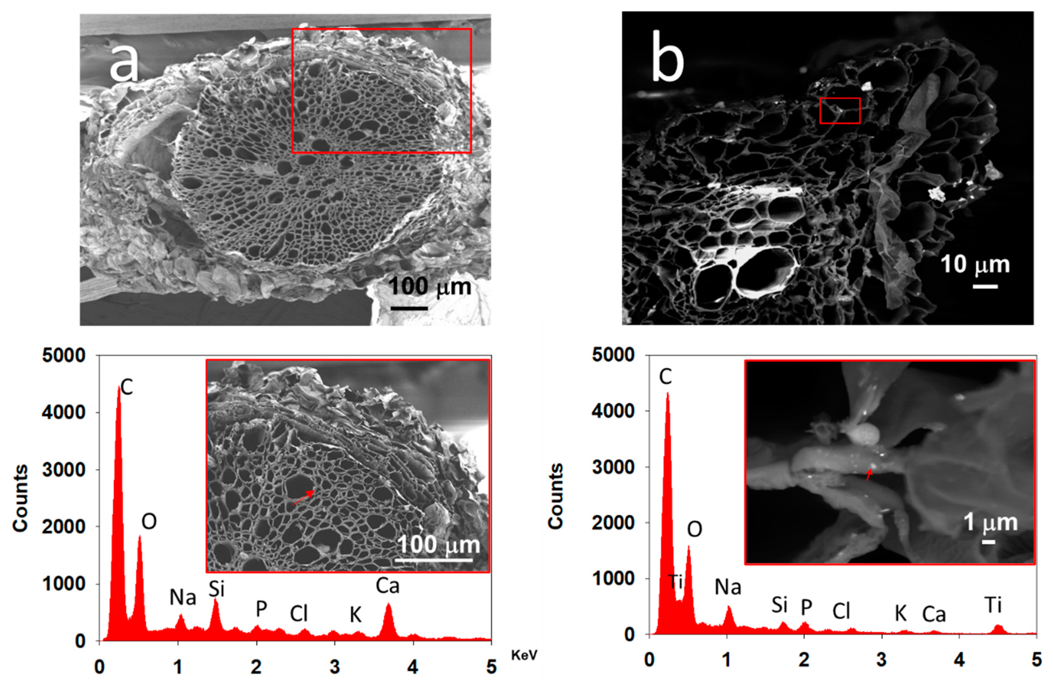 Nanomaterials 11 01127 g010