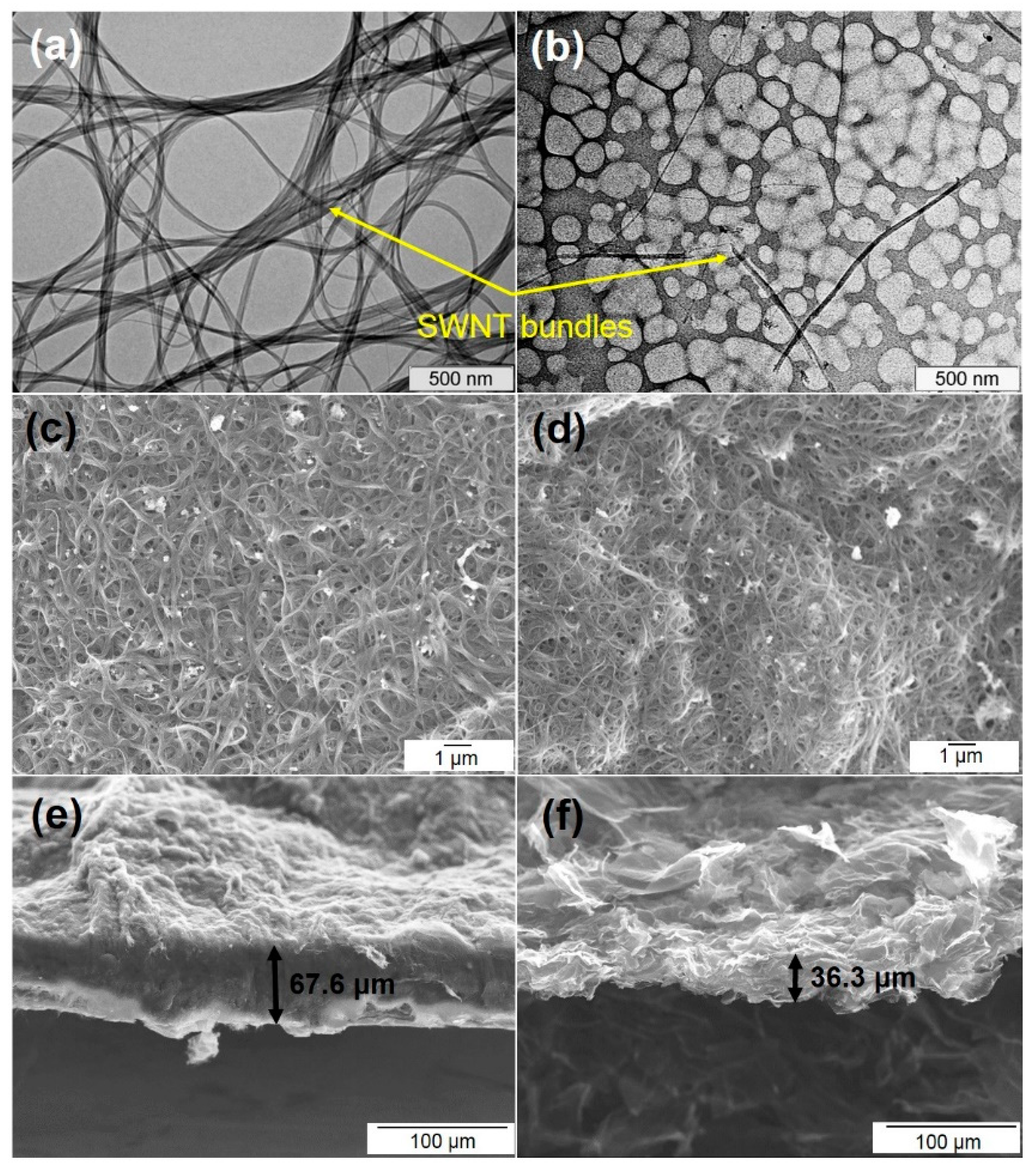 Nanomaterials 11 01135 g001