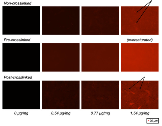 Maroon Colour / Dye (Cosmetic Grade, Water-Soluble, Powder Form) – The Art  Connect