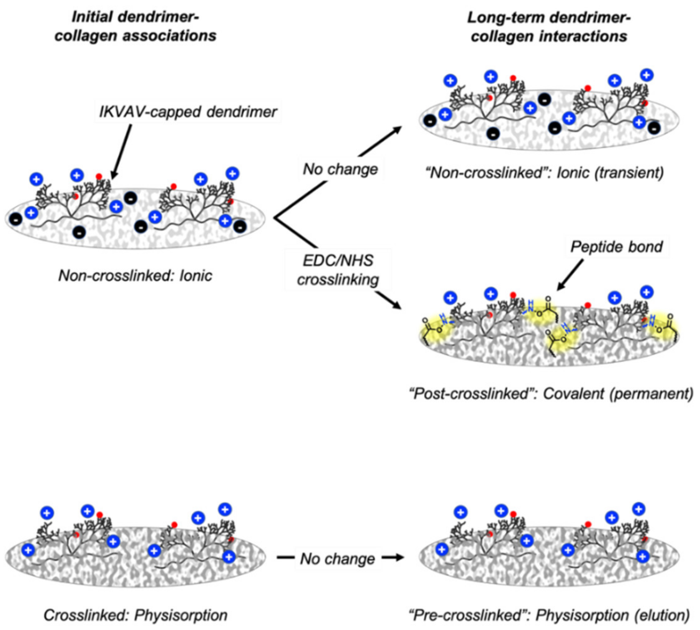 Nanomaterials 11 01157 g011