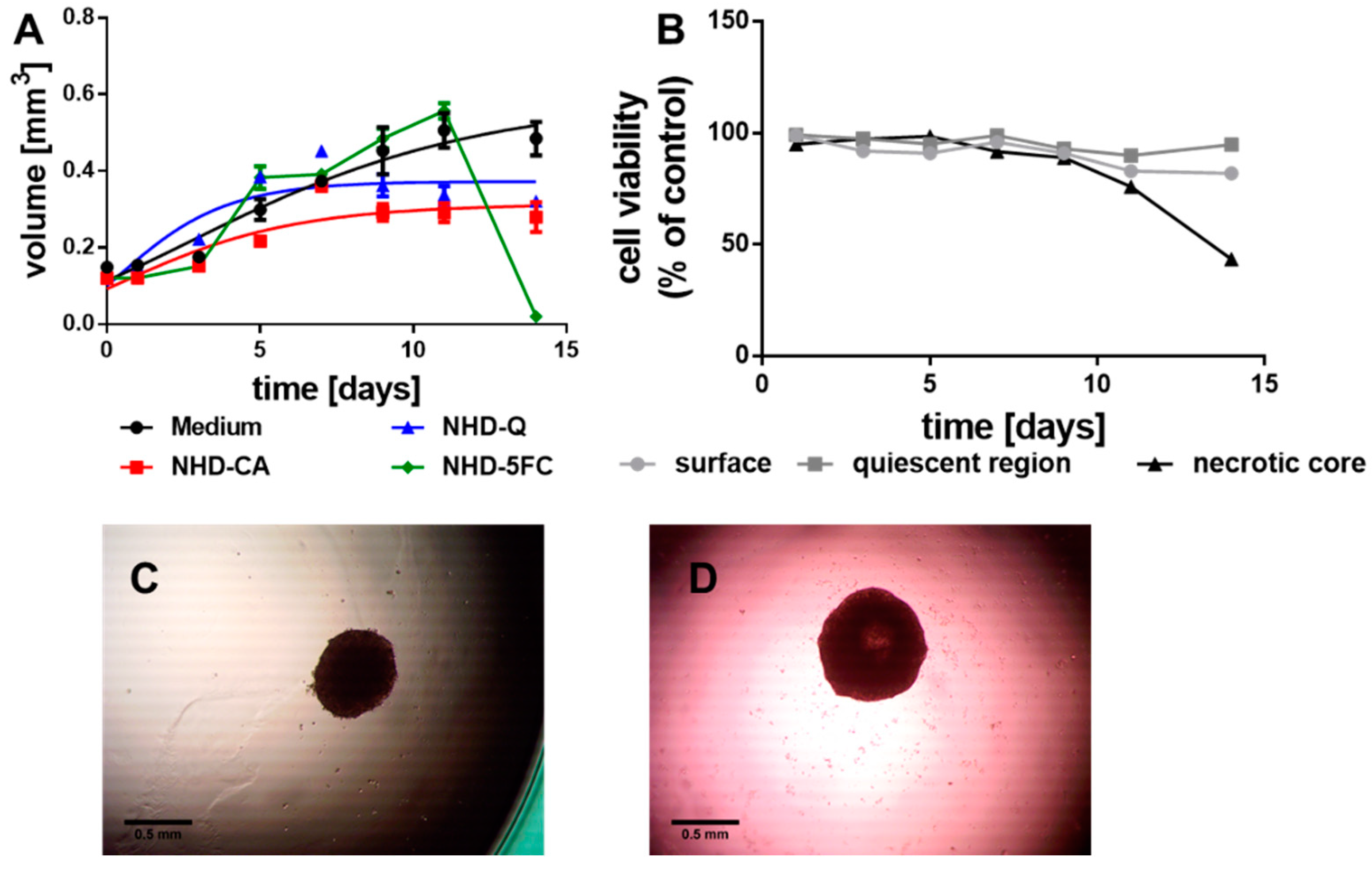 Nanomaterials 11 01167 g003