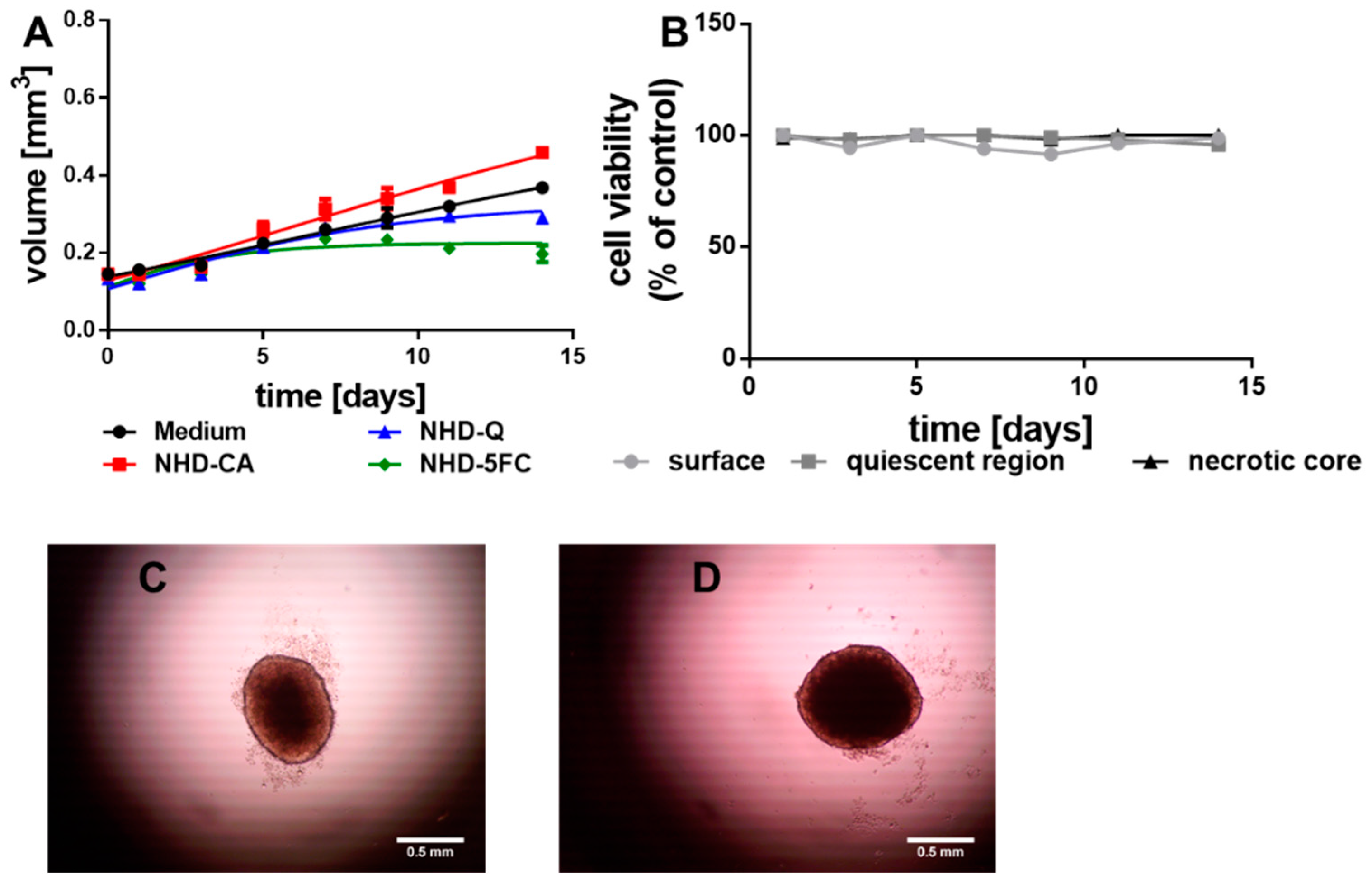 Nanomaterials 11 01167 g004