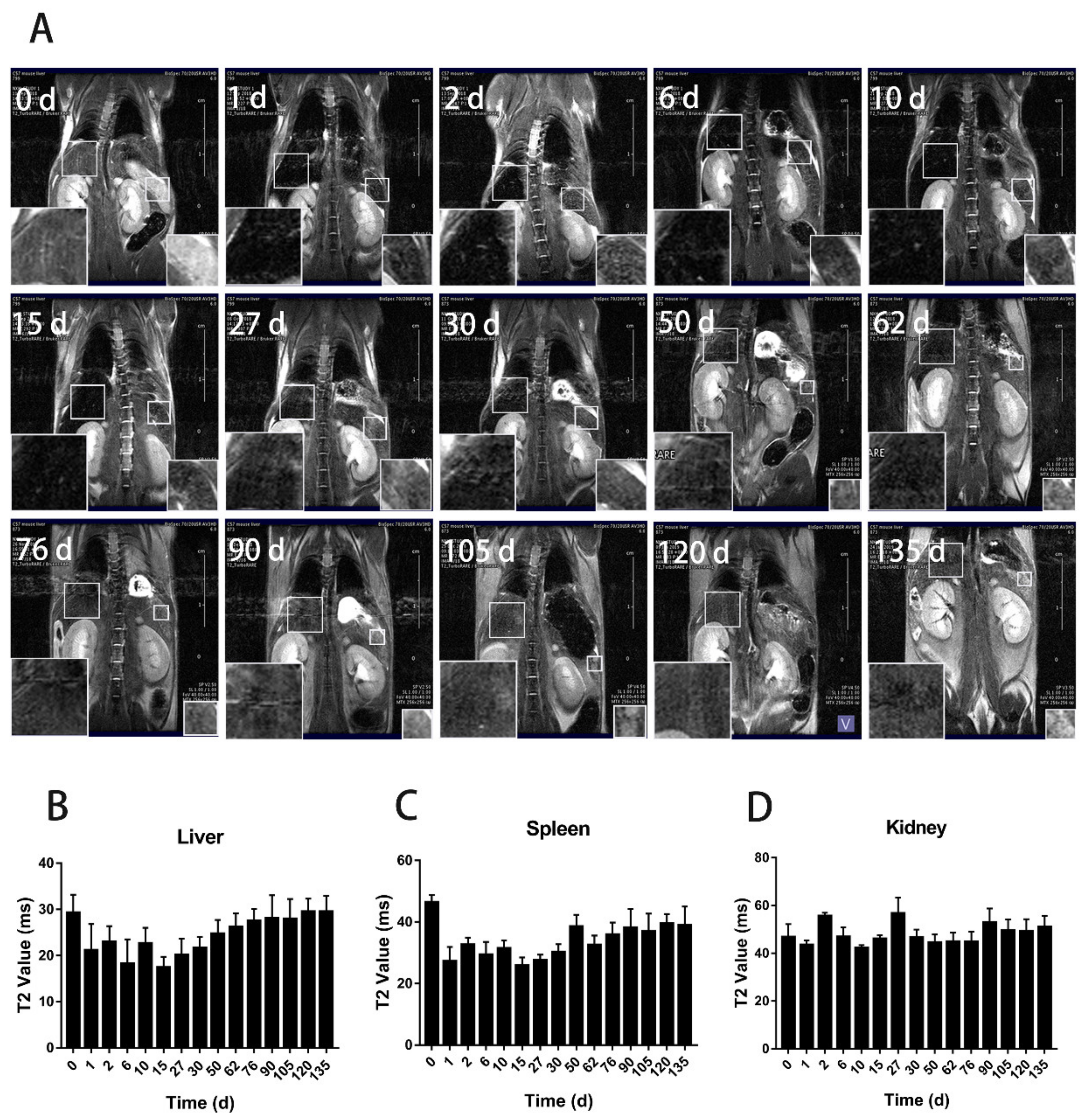 Nanomaterials 11 01235 g004