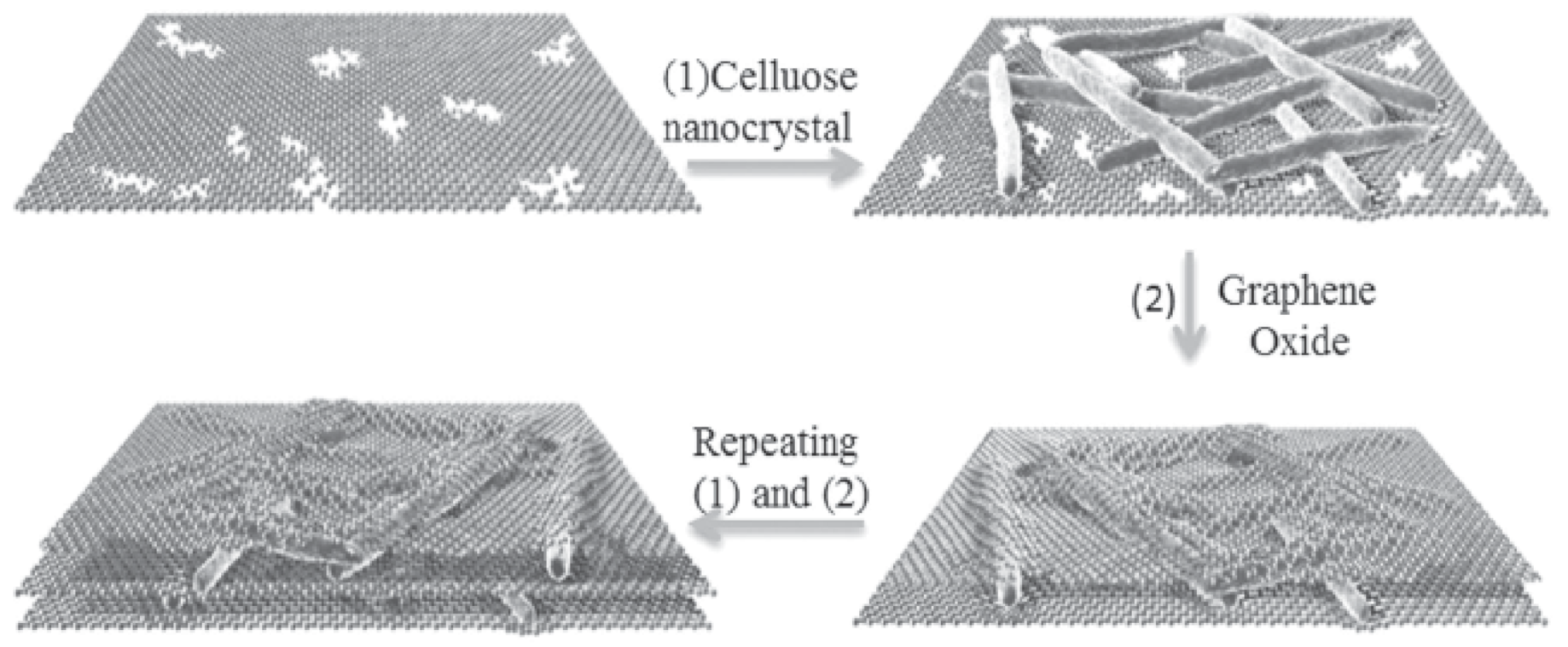 Nanomaterials 11 01239 g004 Nanomaterials 11 01239 g004