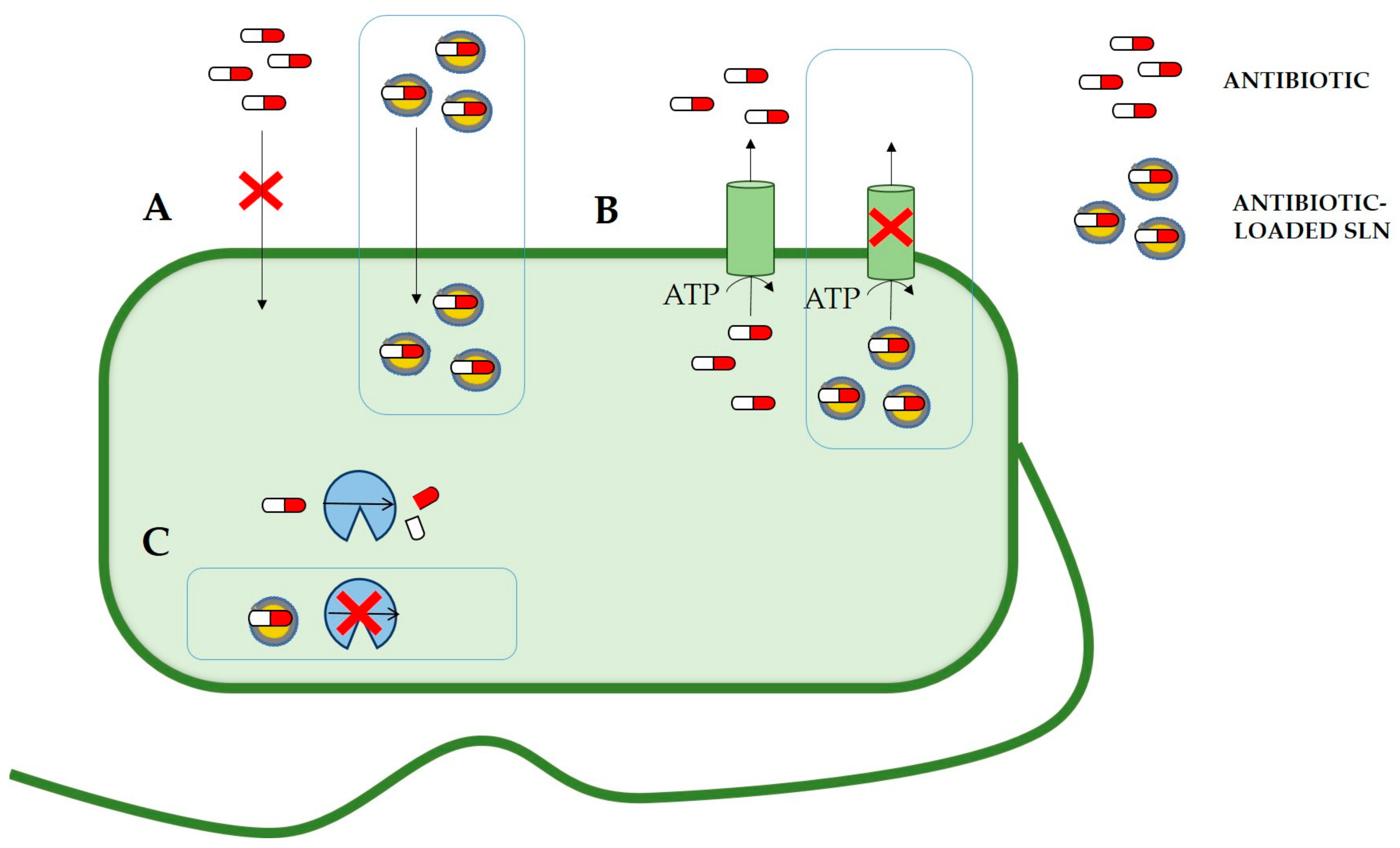 Nanomaterials 11 01251 g004