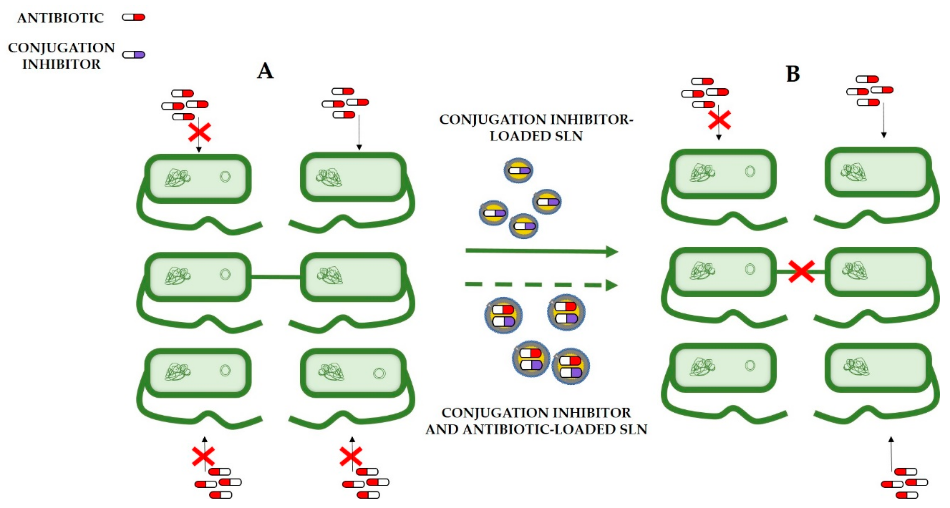 Nanomaterials 11 01251 g006