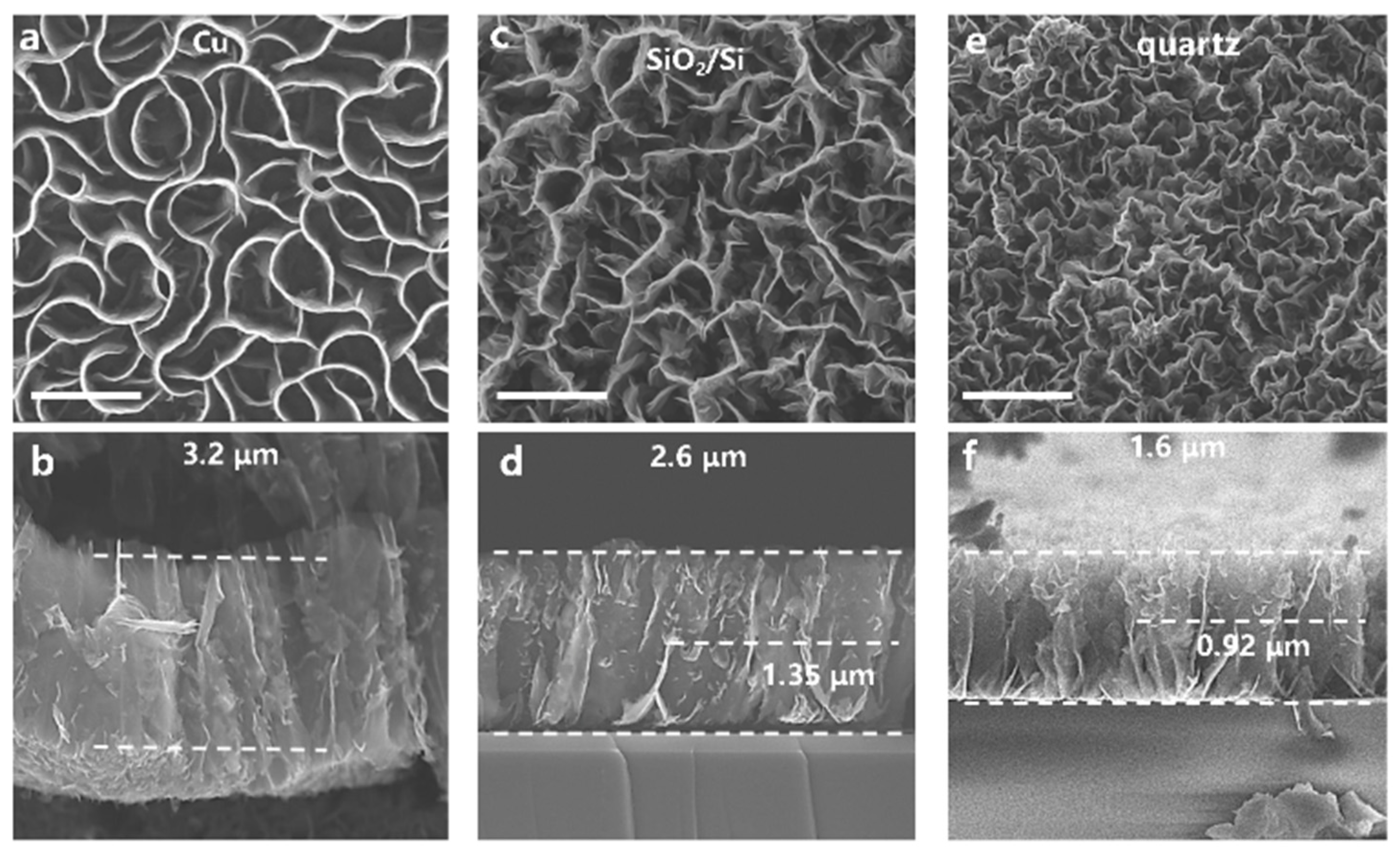 Nanomaterials 11 01268 g001