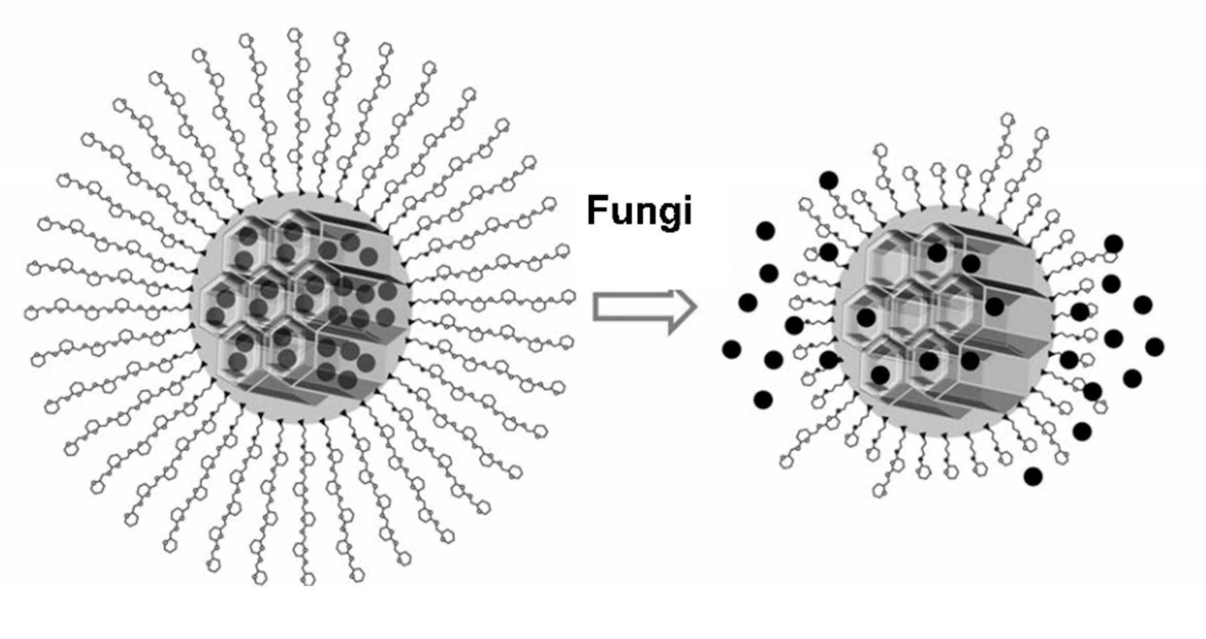 Nanomaterials 11 01280 g001 Nanomaterials 11 01280 g001