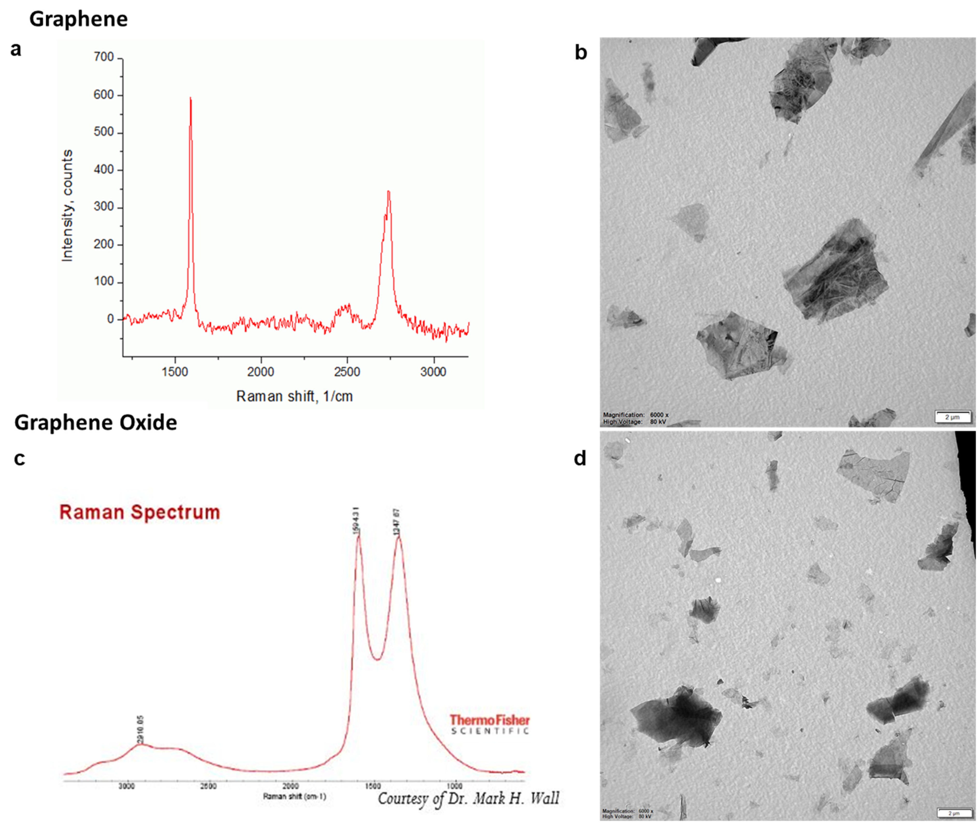 Nanomaterials 11 01283 g001