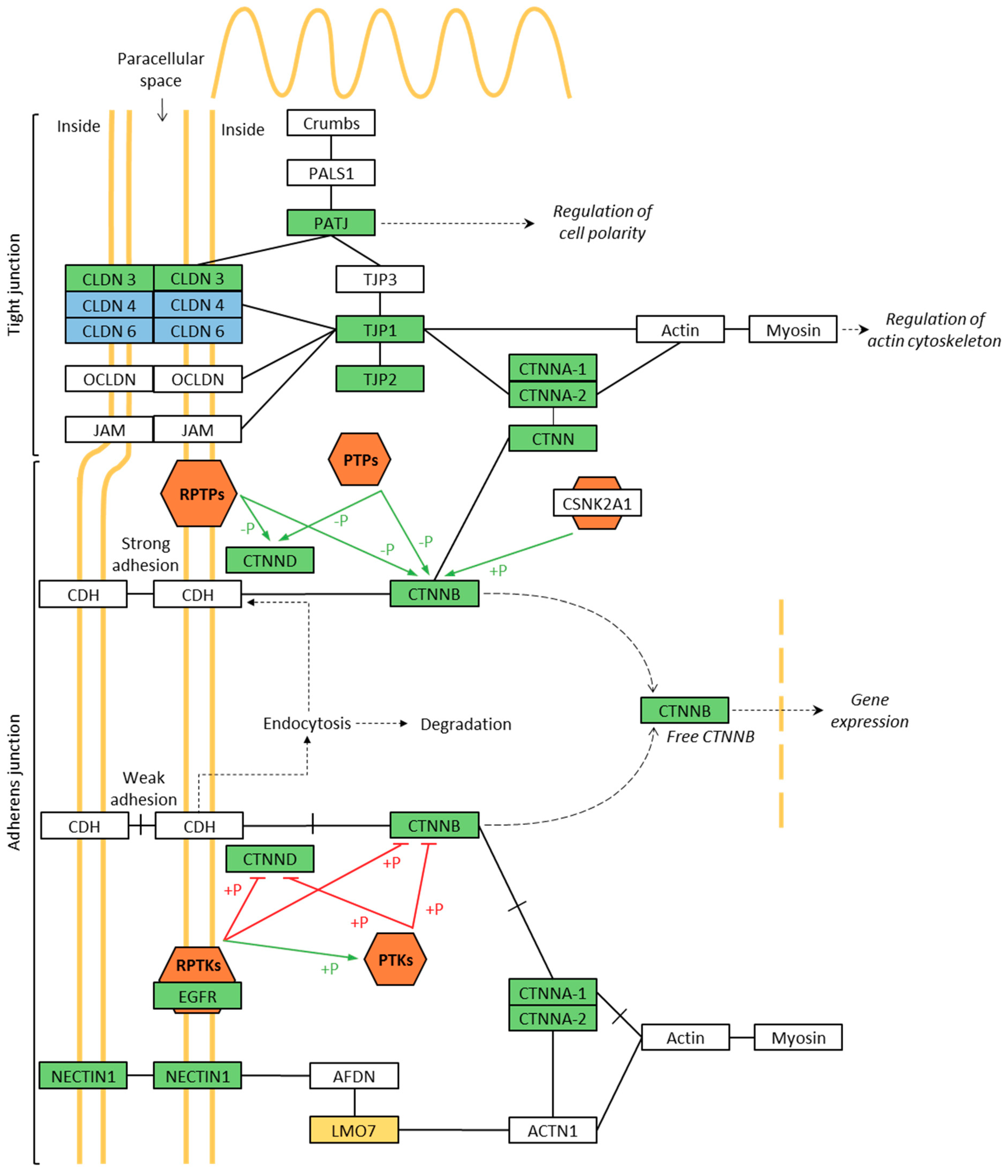 Nanomaterials 11 01283 g006