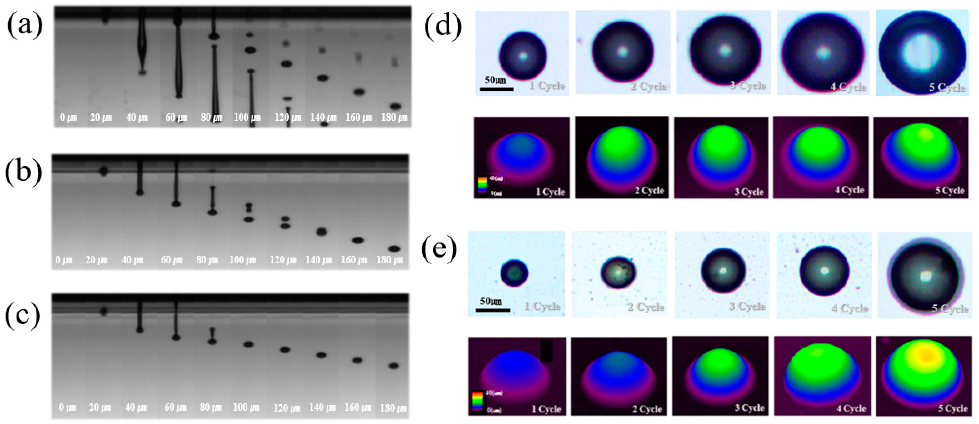 Nanomaterials 11 01295 g003