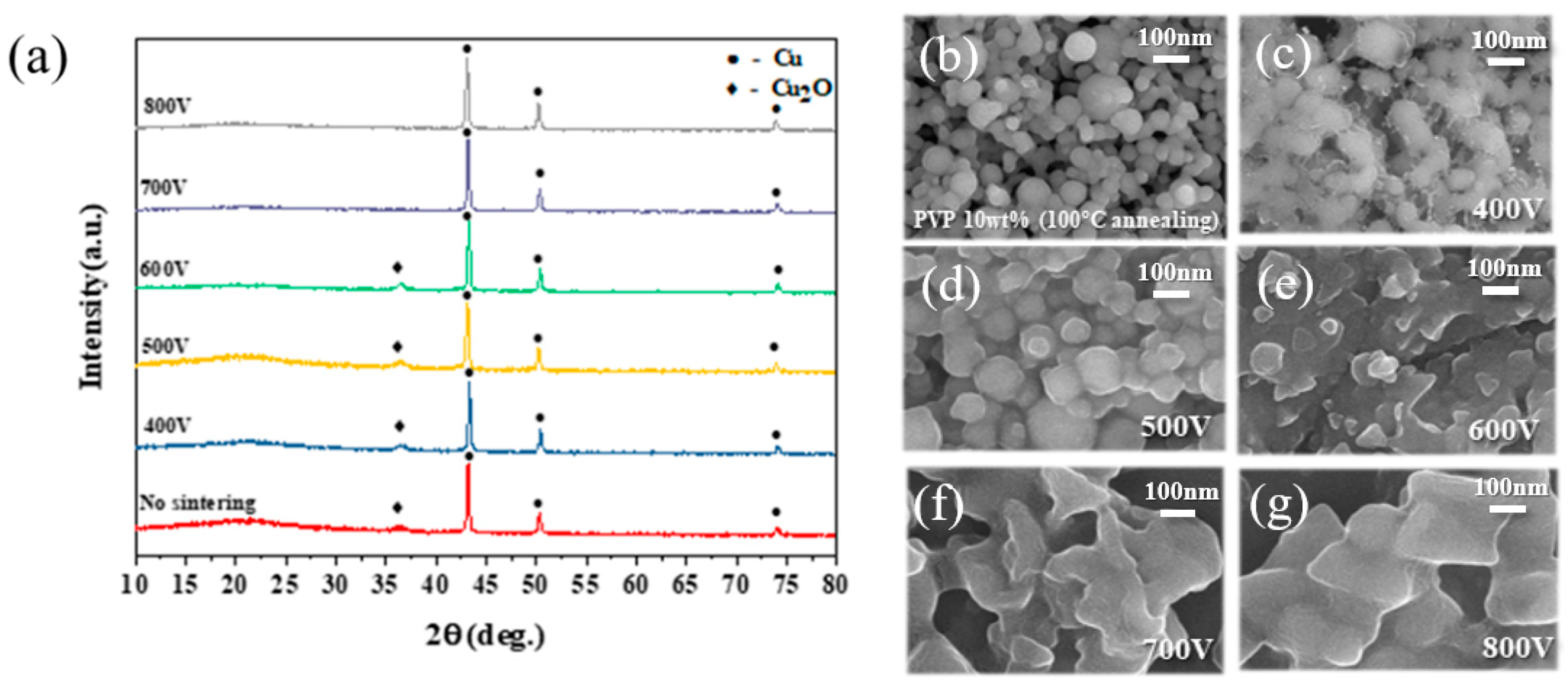 Nanomaterials 11 01295 g011