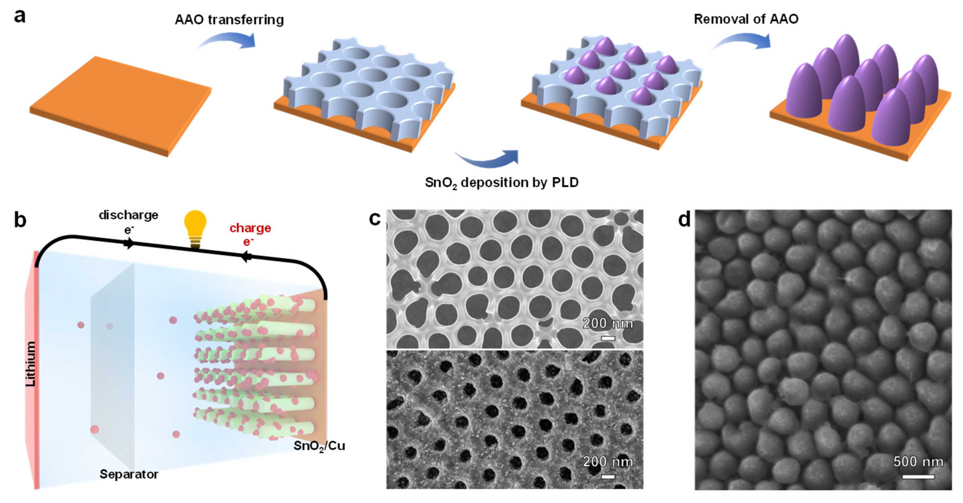 Nanomaterials 11 01307 g001