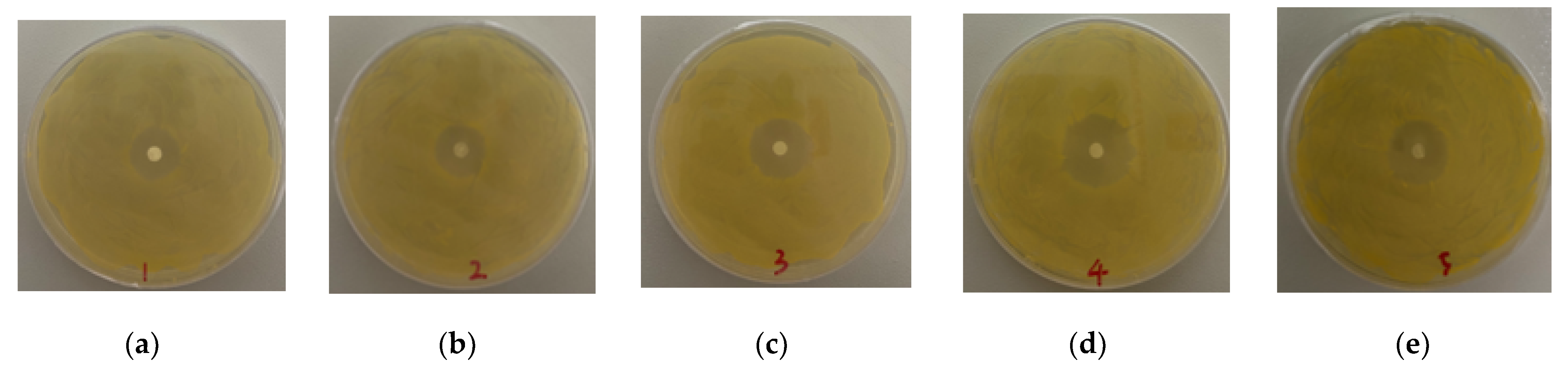 Nanomaterials 11 01316 g006 Nanomaterials 11 01316 g006