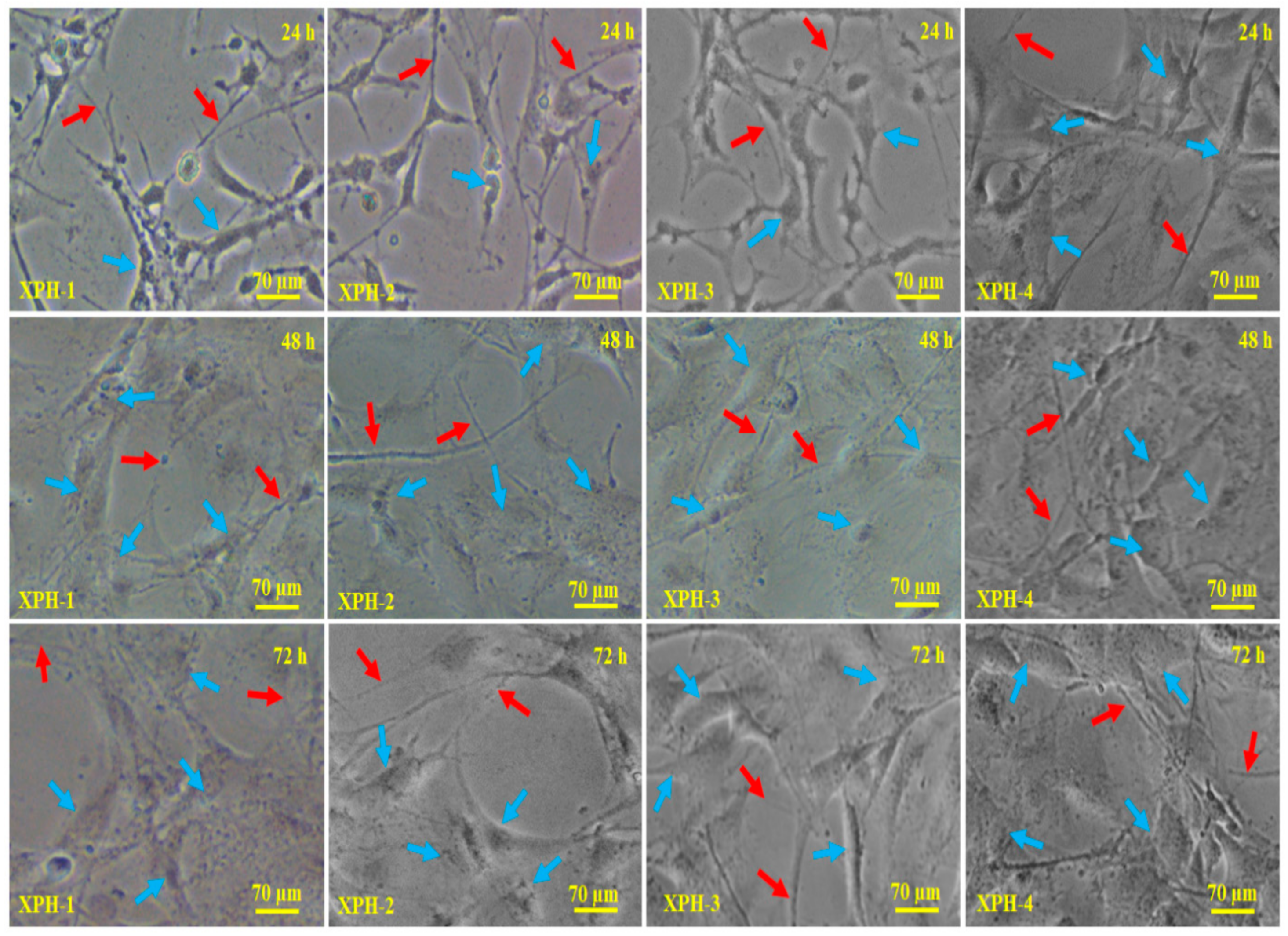 Nanomaterials 11 01319 g008 Nanomaterials 11 01319 g008