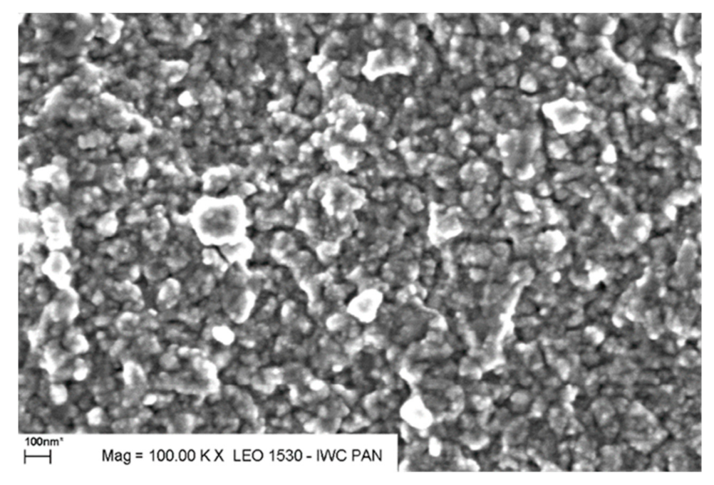 Nanomaterials 11 01321 g002