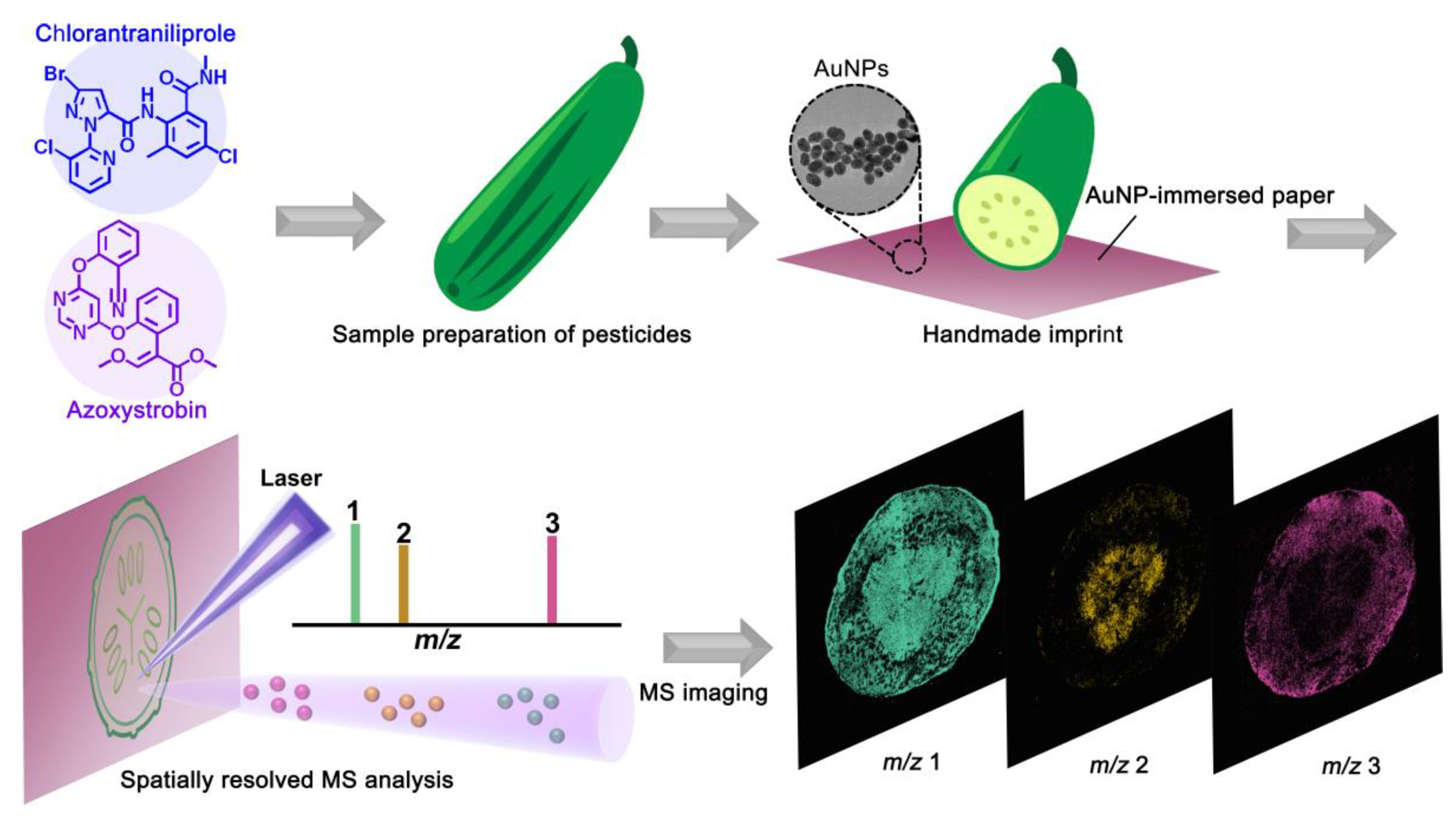 Nanomaterials | Free Full-Text | Spatiotemporal Visualization of  Insecticides and Fungicides within Fruits and Vegetables Using Gold  Nanoparticle-Immersed Paper Imprinting Mass Spectrometry Imaging