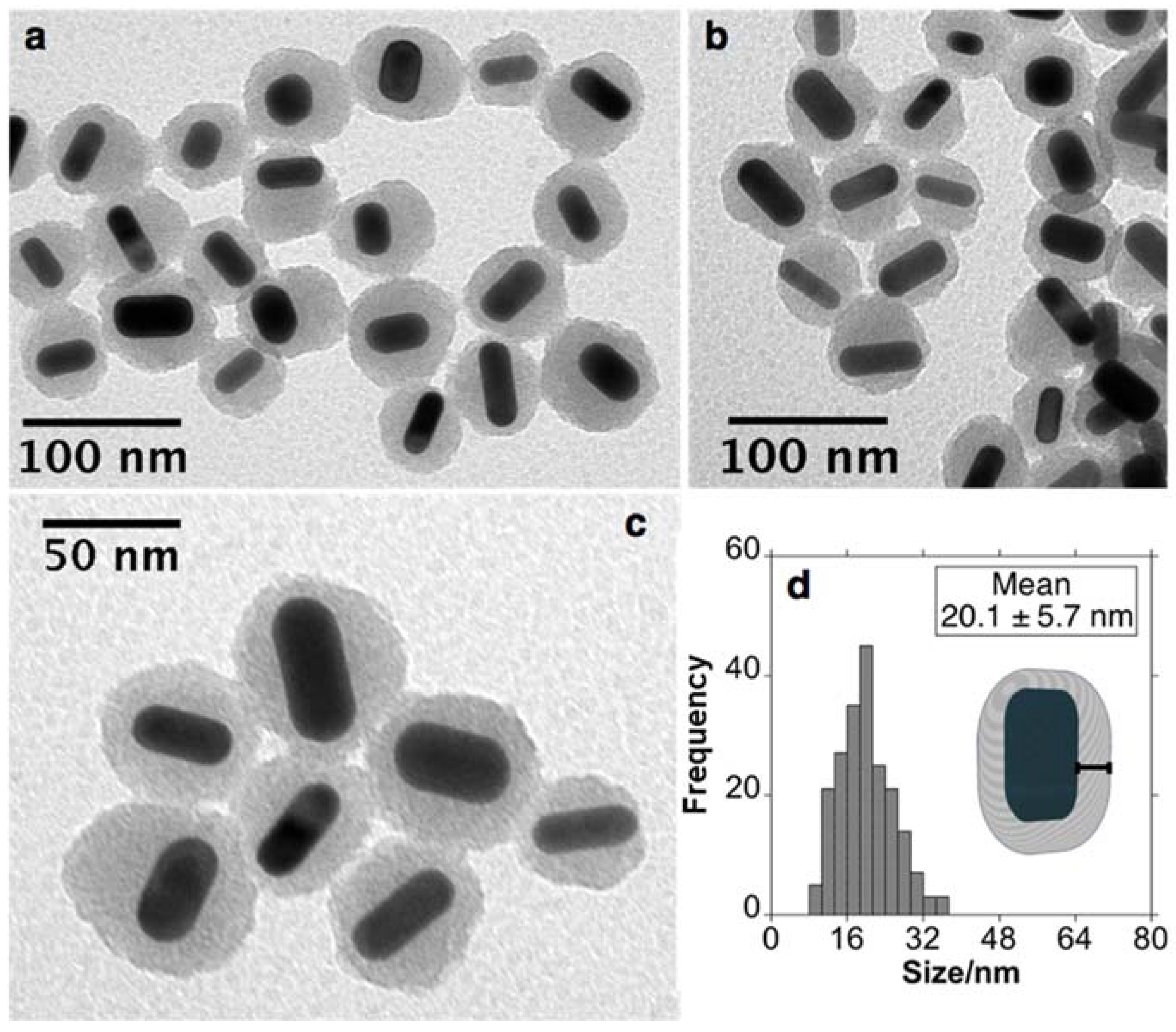 Nanomaterials Free Full Text Synthesis Of Mesoporous Silica Coated Gold Nanorods Loaded With 1877