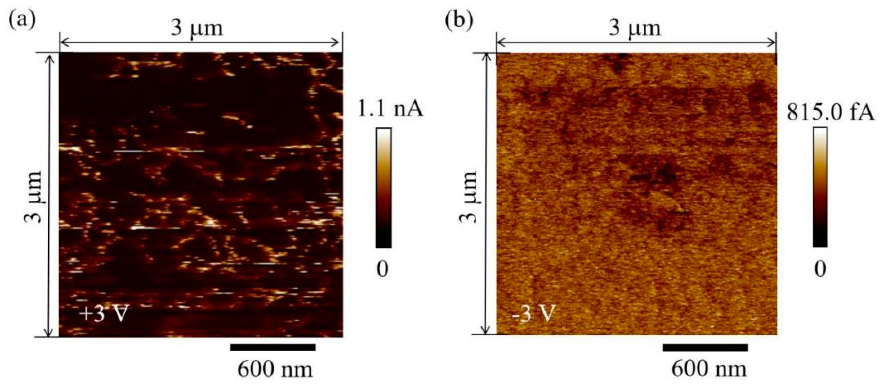 Nanomaterials 11 01361 g007