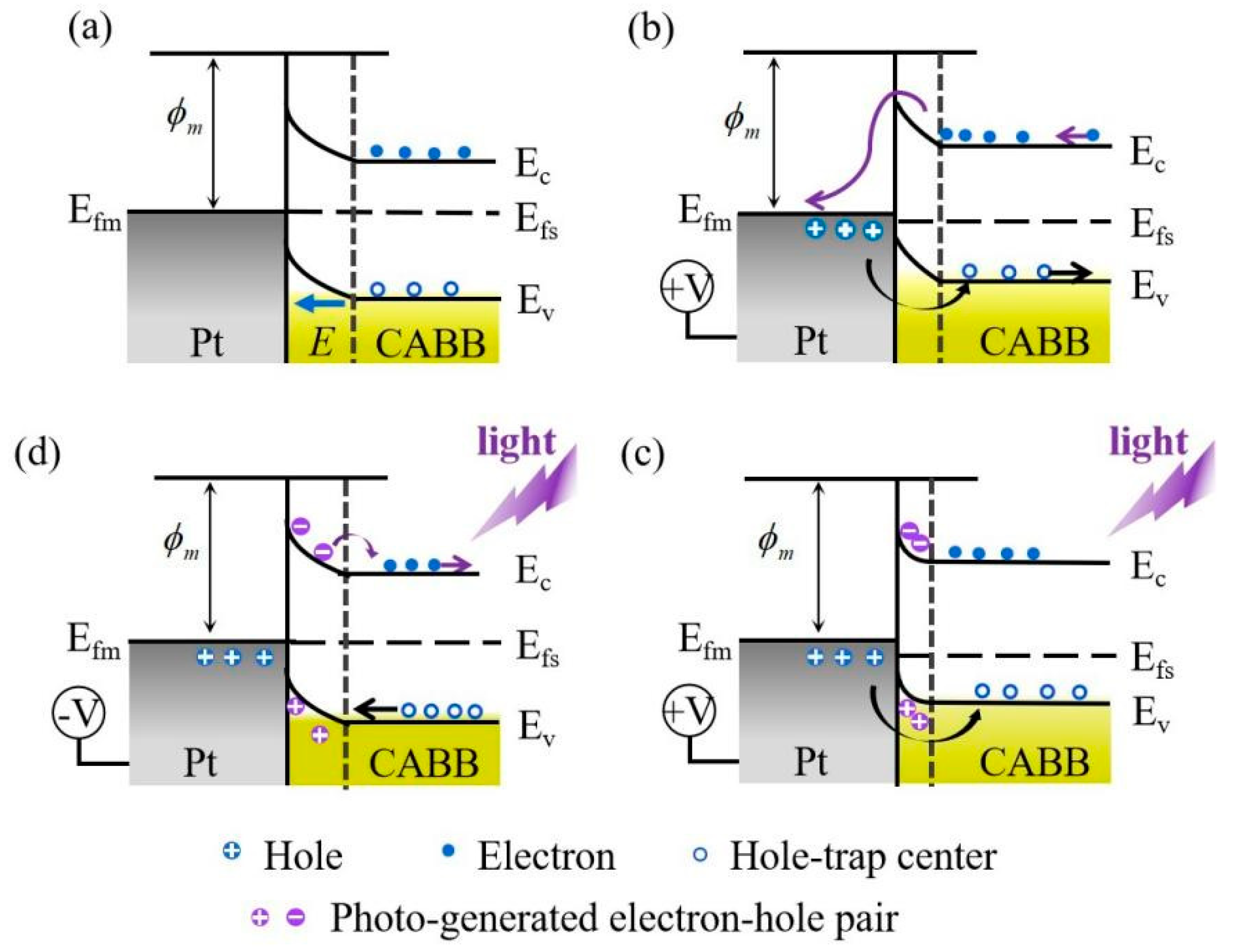 Nanomaterials 11 01361 g008