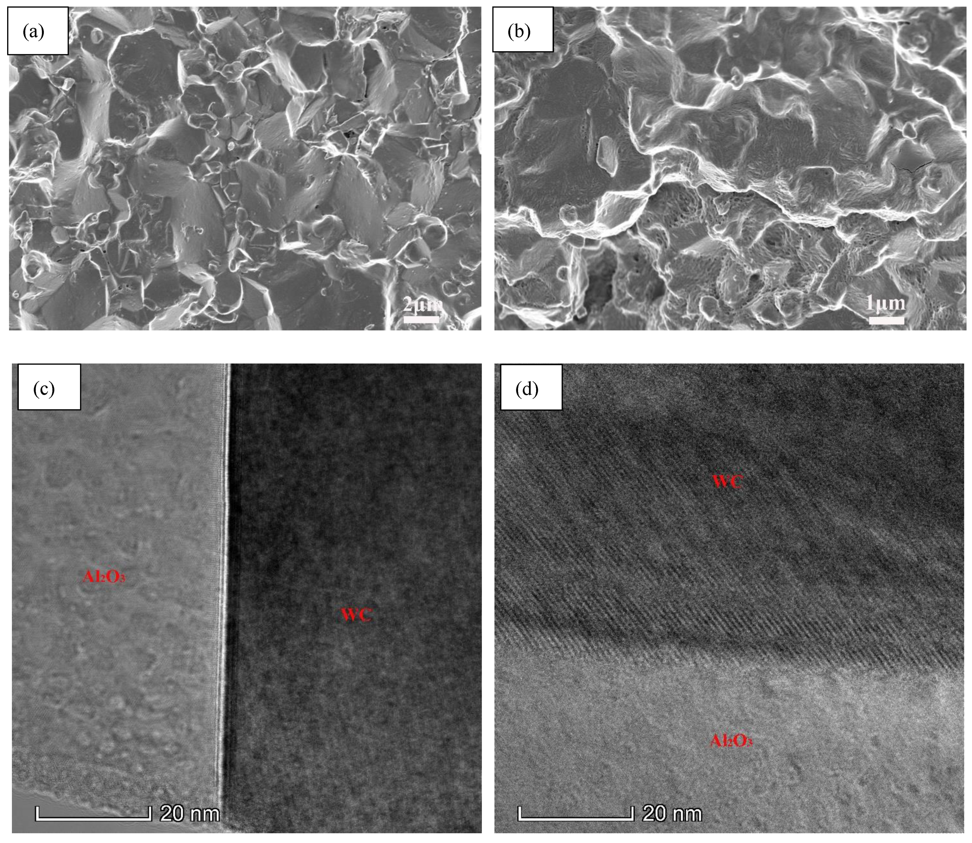 Nanomaterials 11 01374 g007