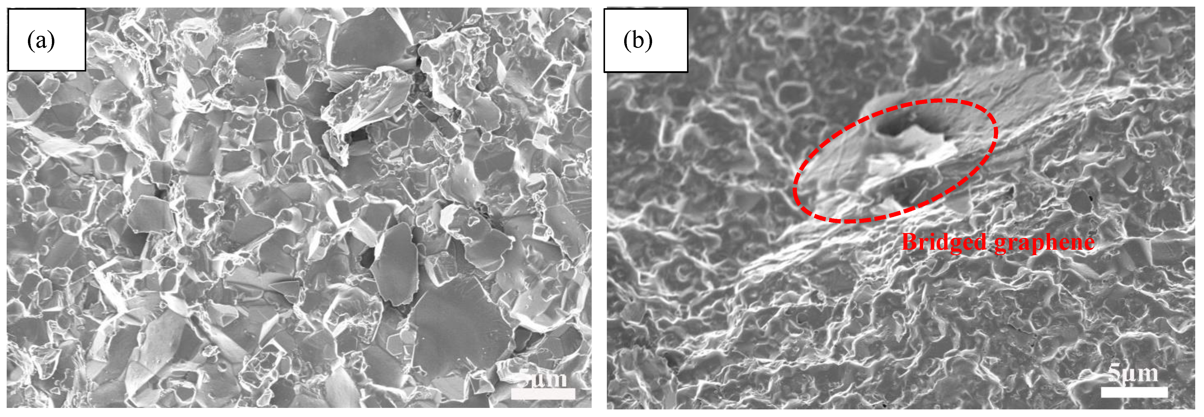 Nanomaterials 11 01374 g009