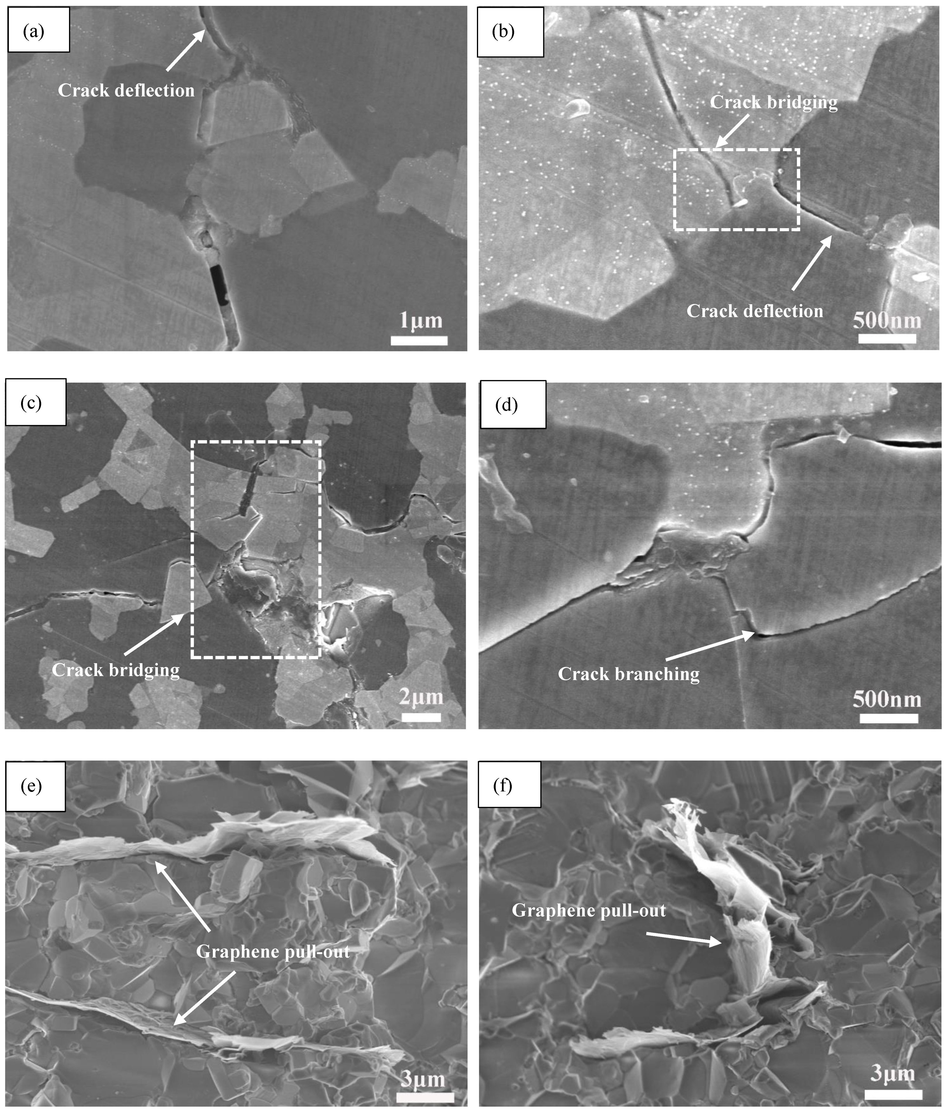 Nanomaterials 11 01374 g010