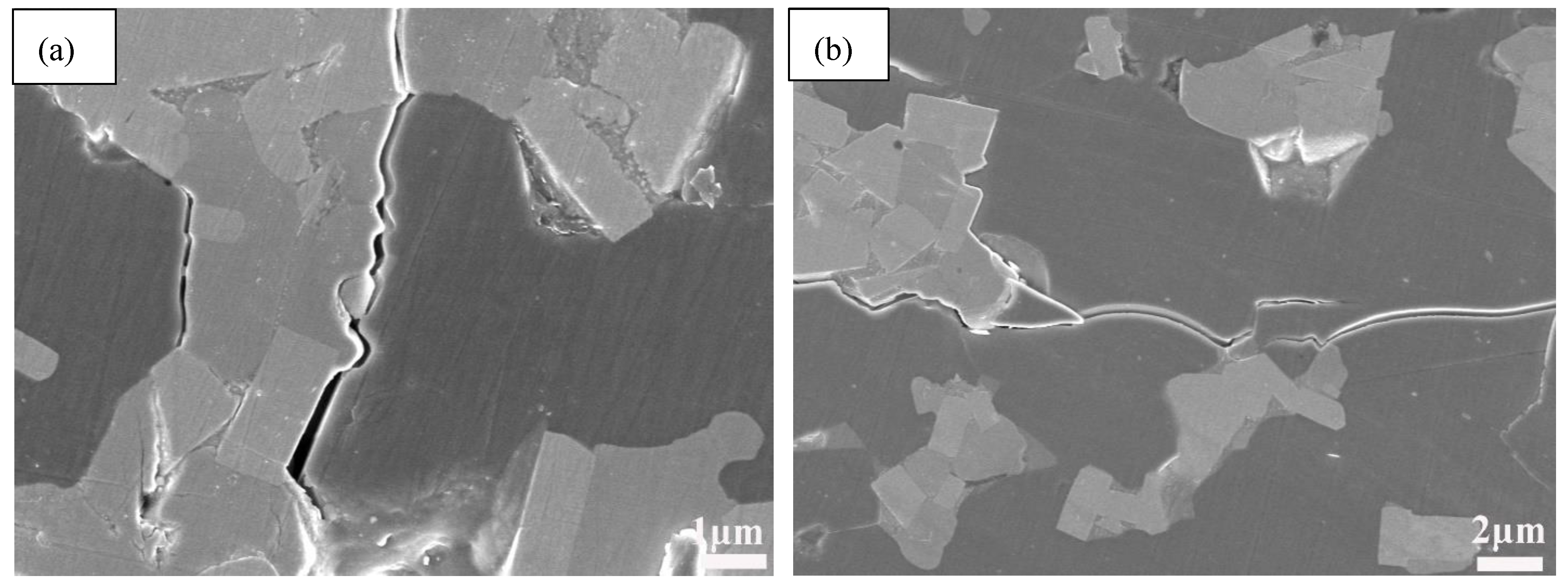 Nanomaterials 11 01374 g012