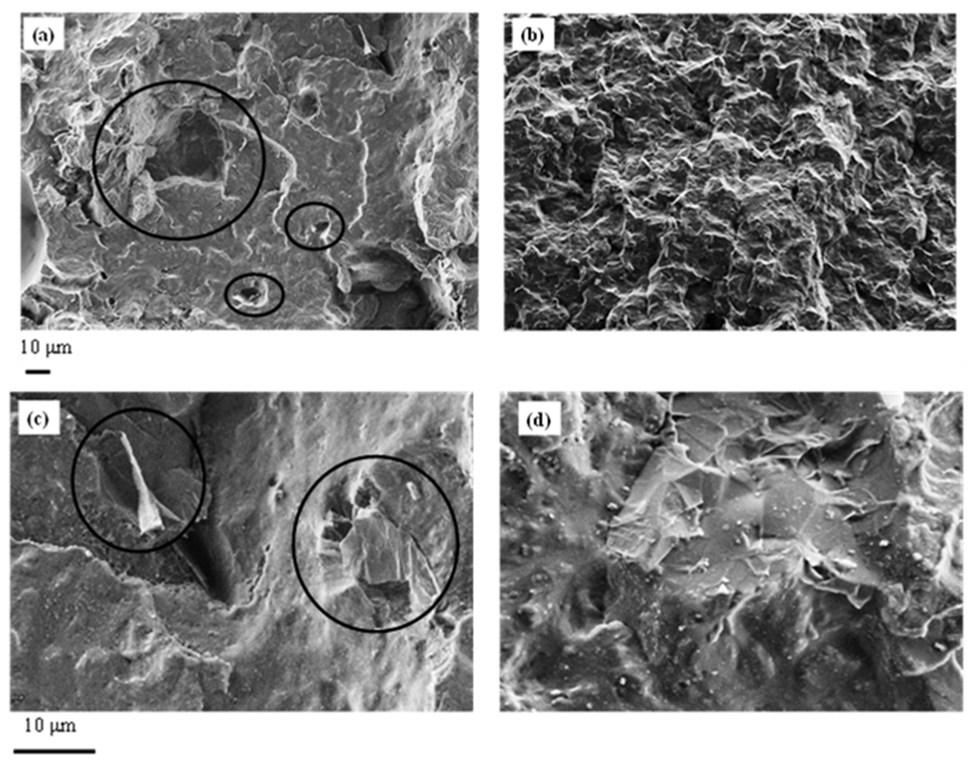 Nanomaterials 11 01385 g007 Nanomaterials 11 01385 g007