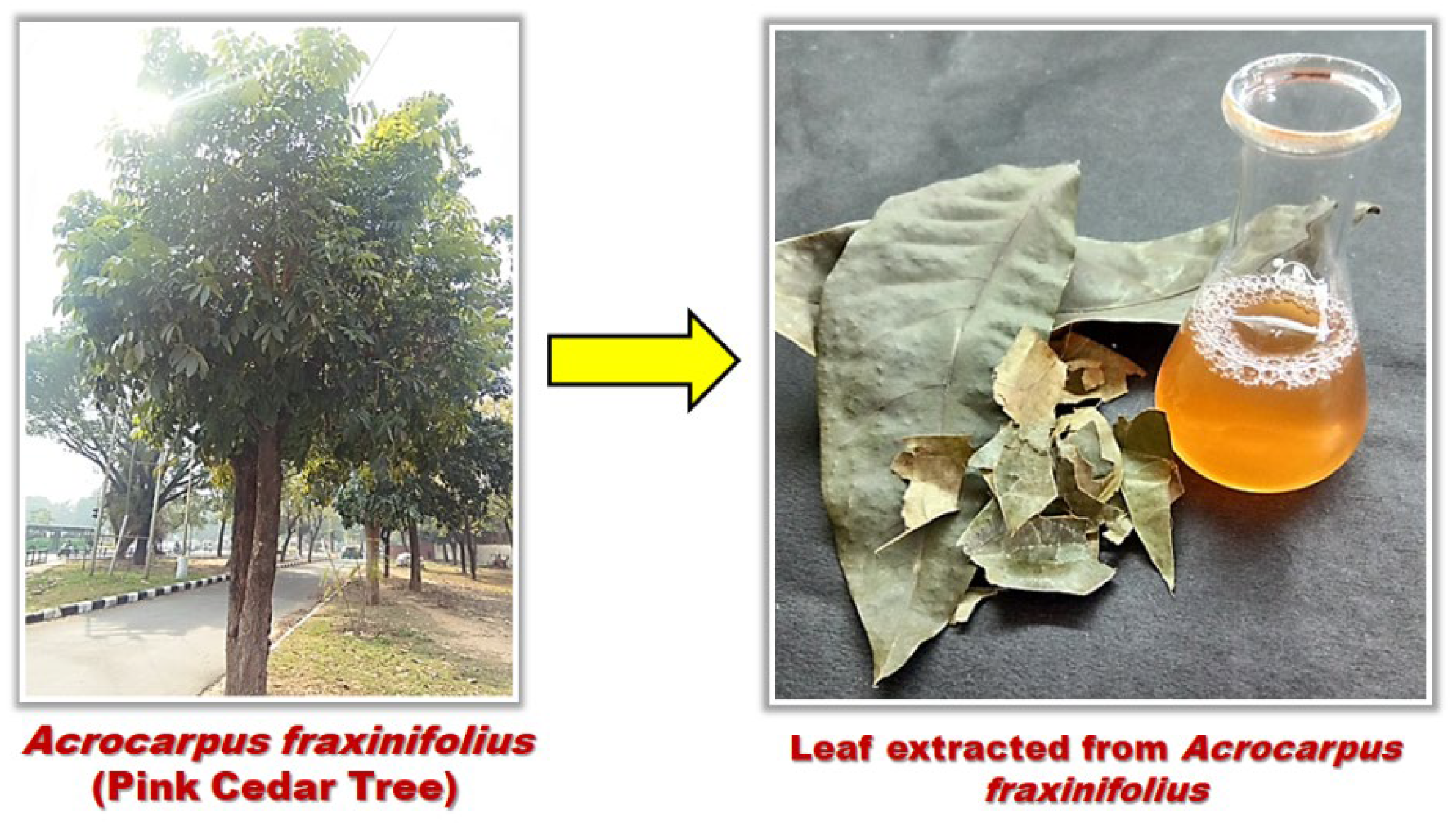 Nanomaterials 11 01403 sch001