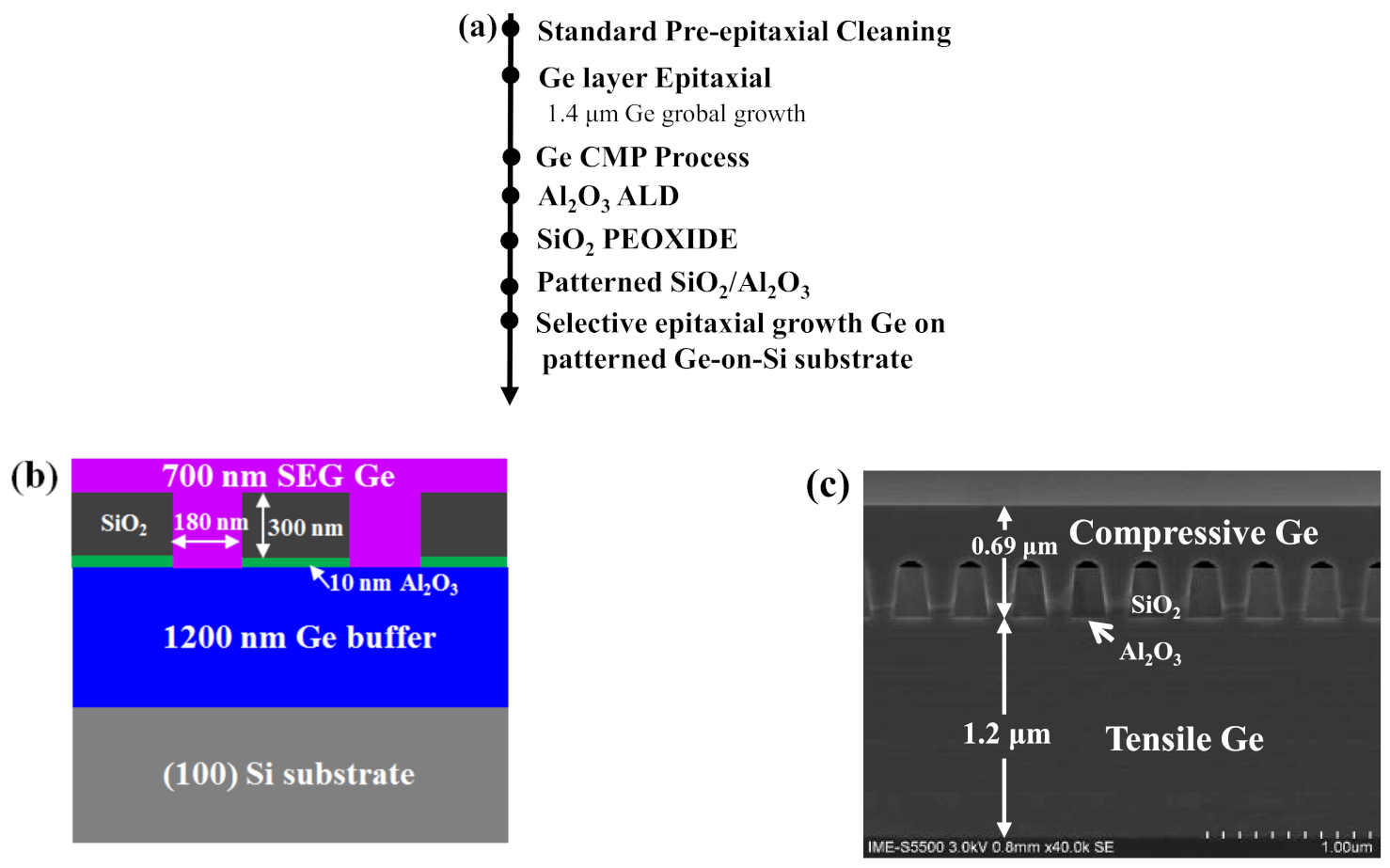 Nanomaterials 11 01421 g001