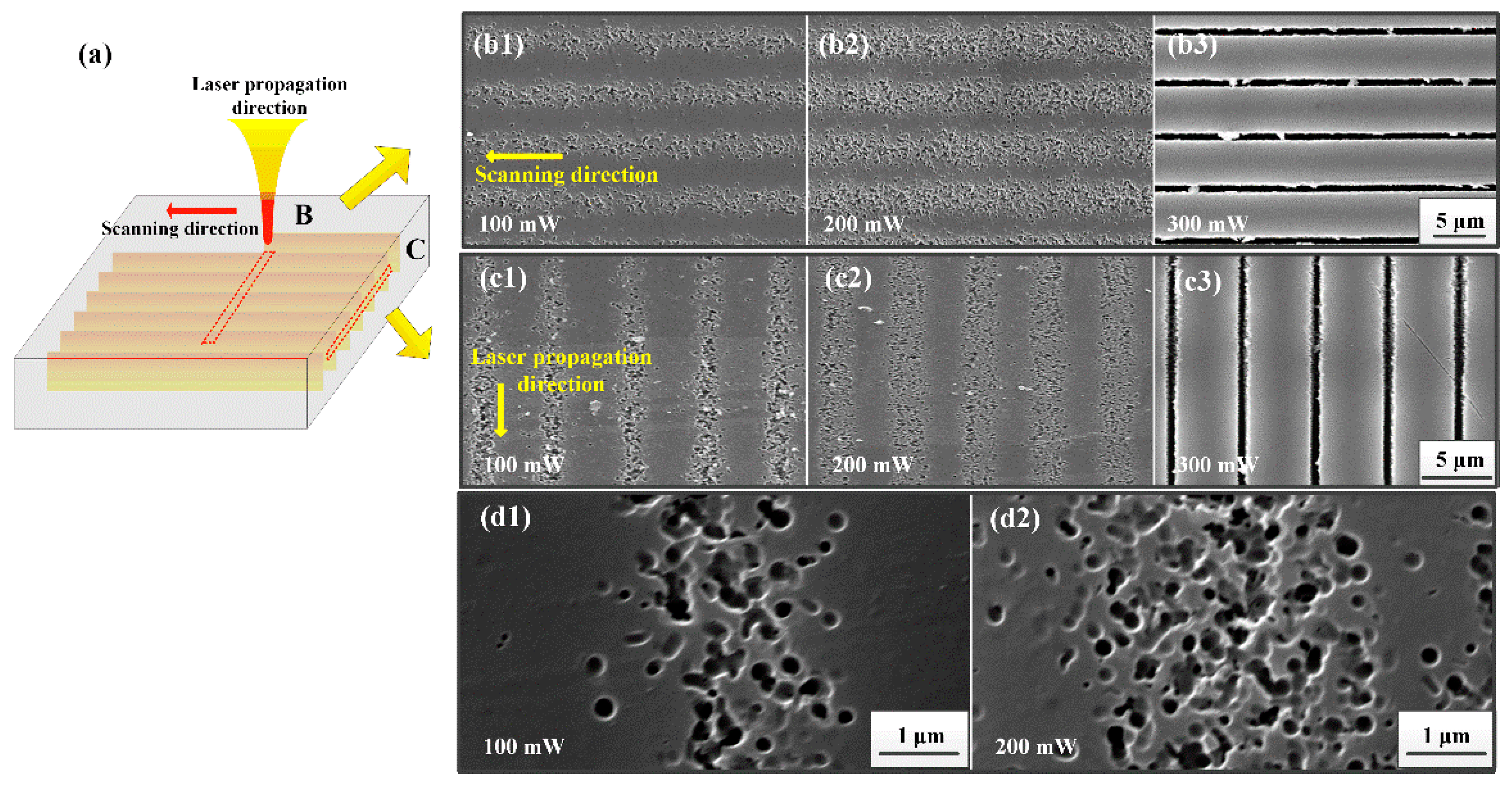 Nanomaterials 11 01432 g003 Nanomaterials 11 01432 g003