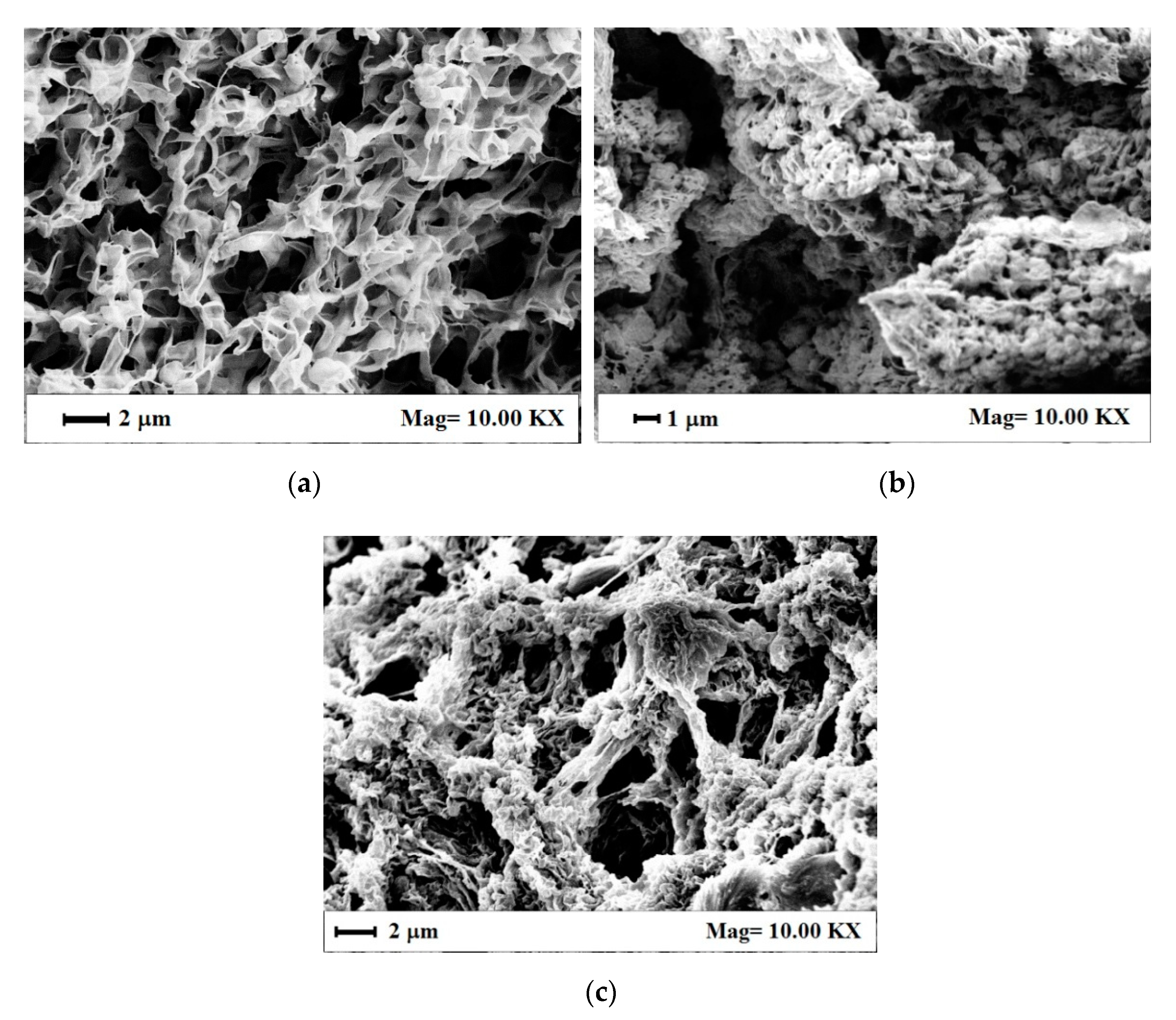 Nanomaterials 11 01436 g006