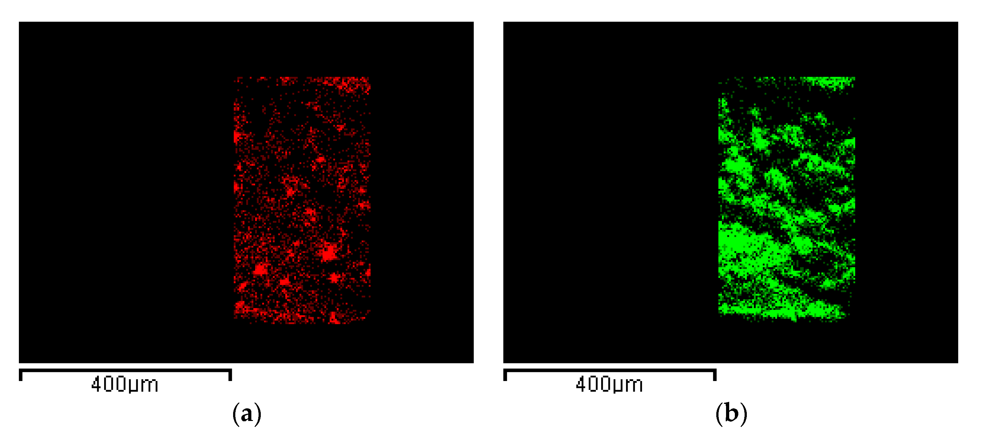 Nanomaterials 11 01436 g007